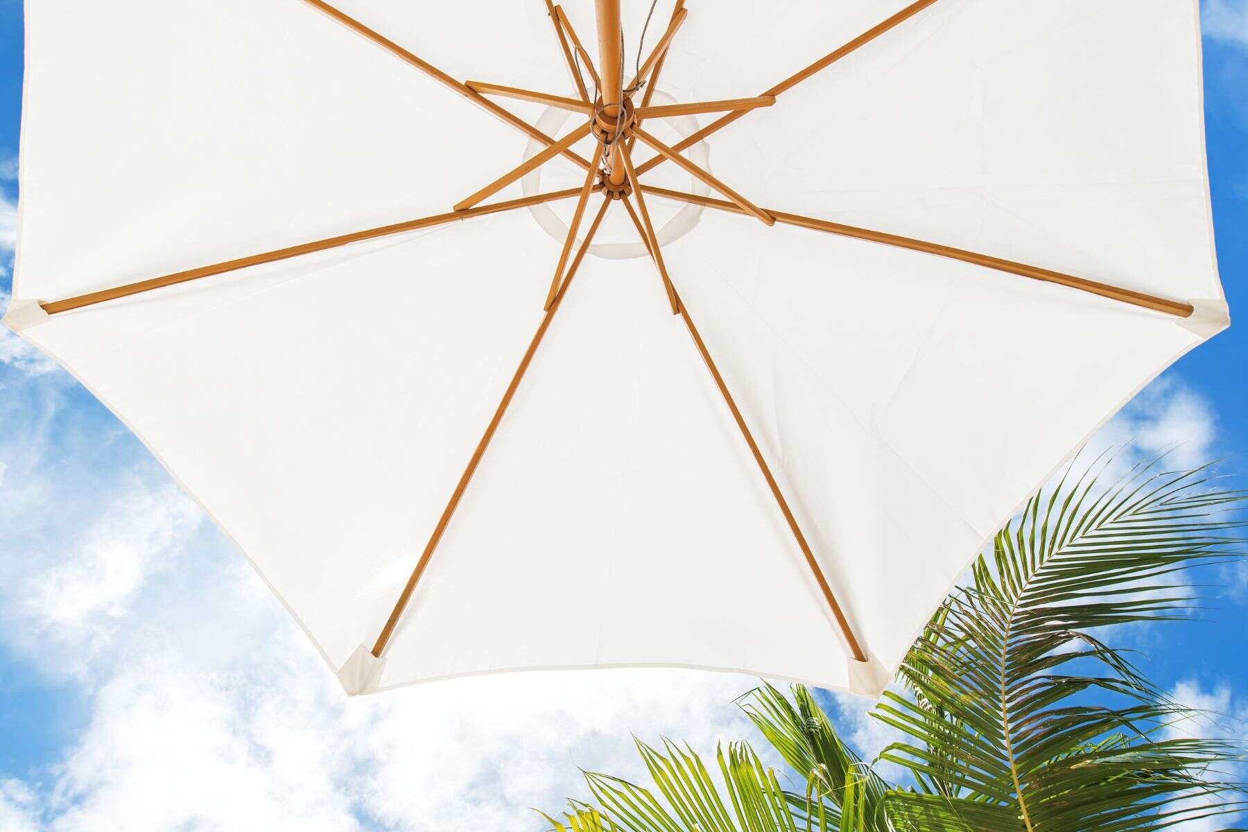 Beach Umbrella White
