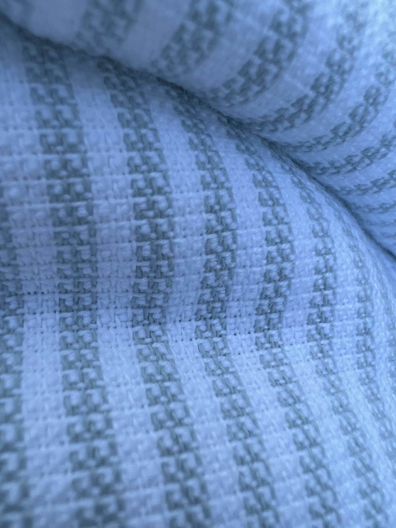 Delilah Organic Cotton Close Up Fabric