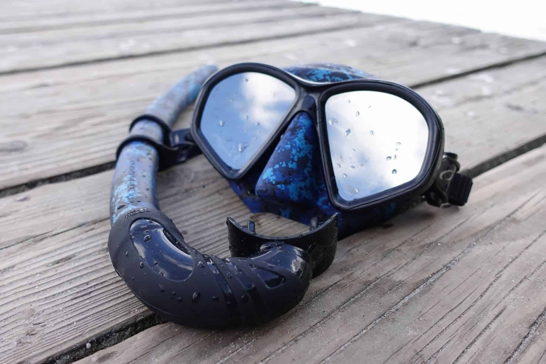 oceanic predator mask flat lay close up