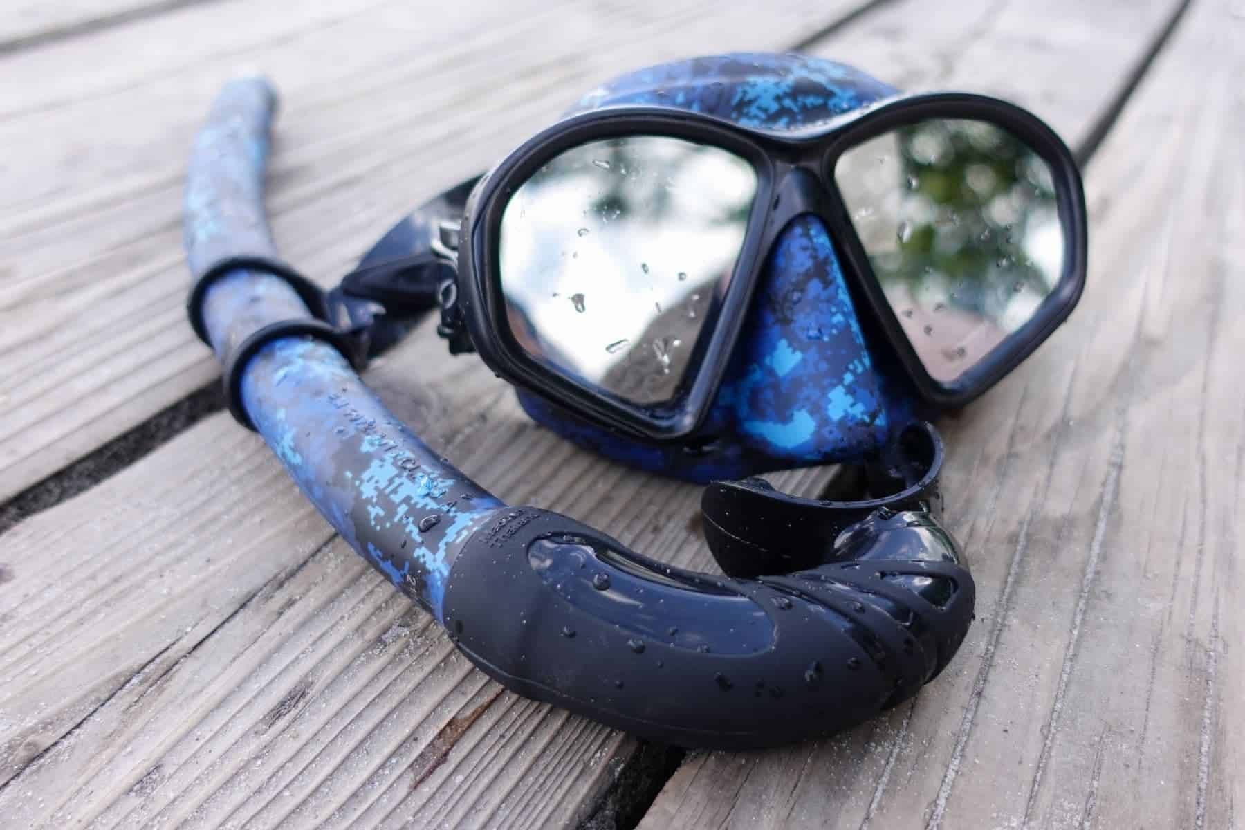 oceanic-predator-flat-lay