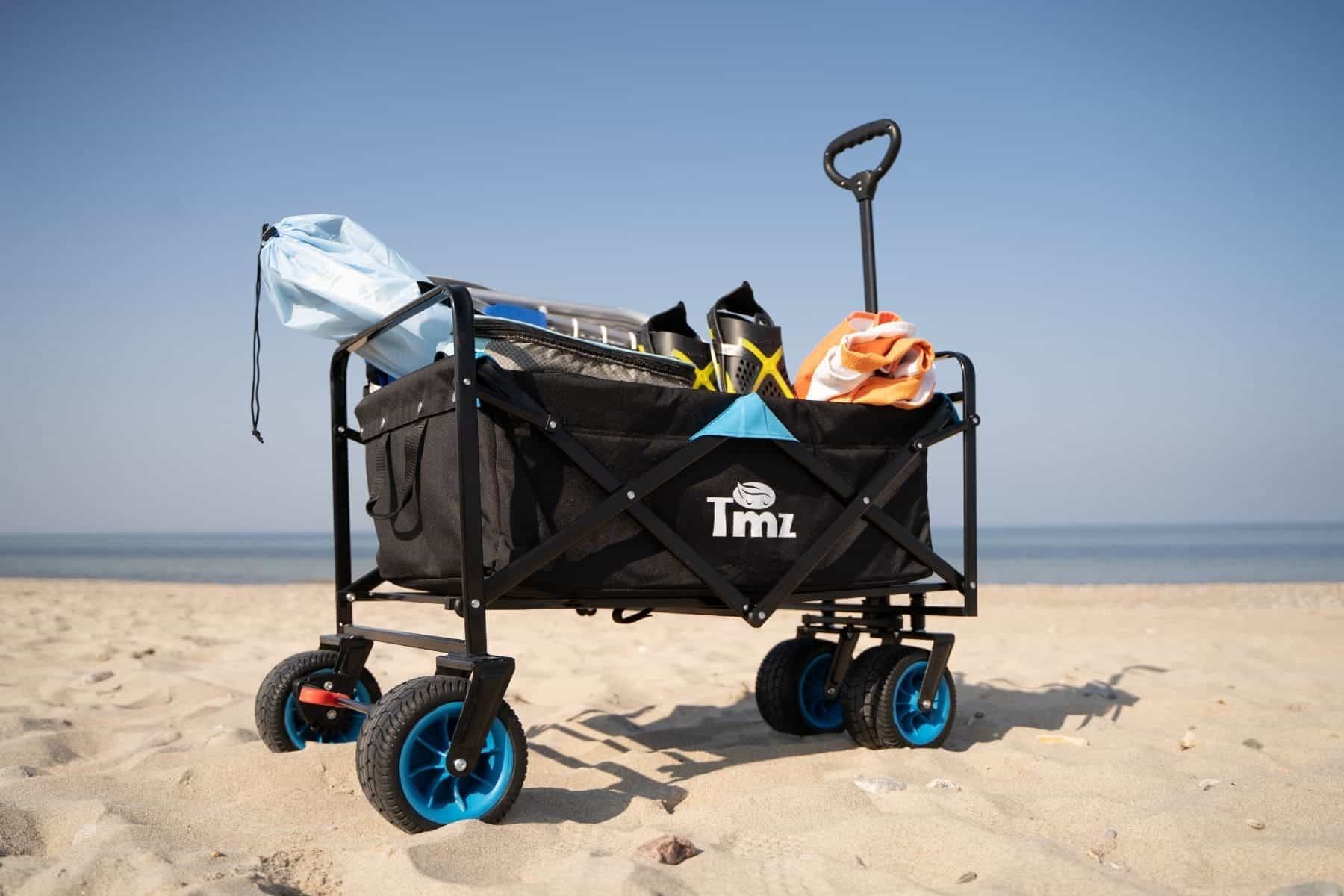 tmz beach wagon side view