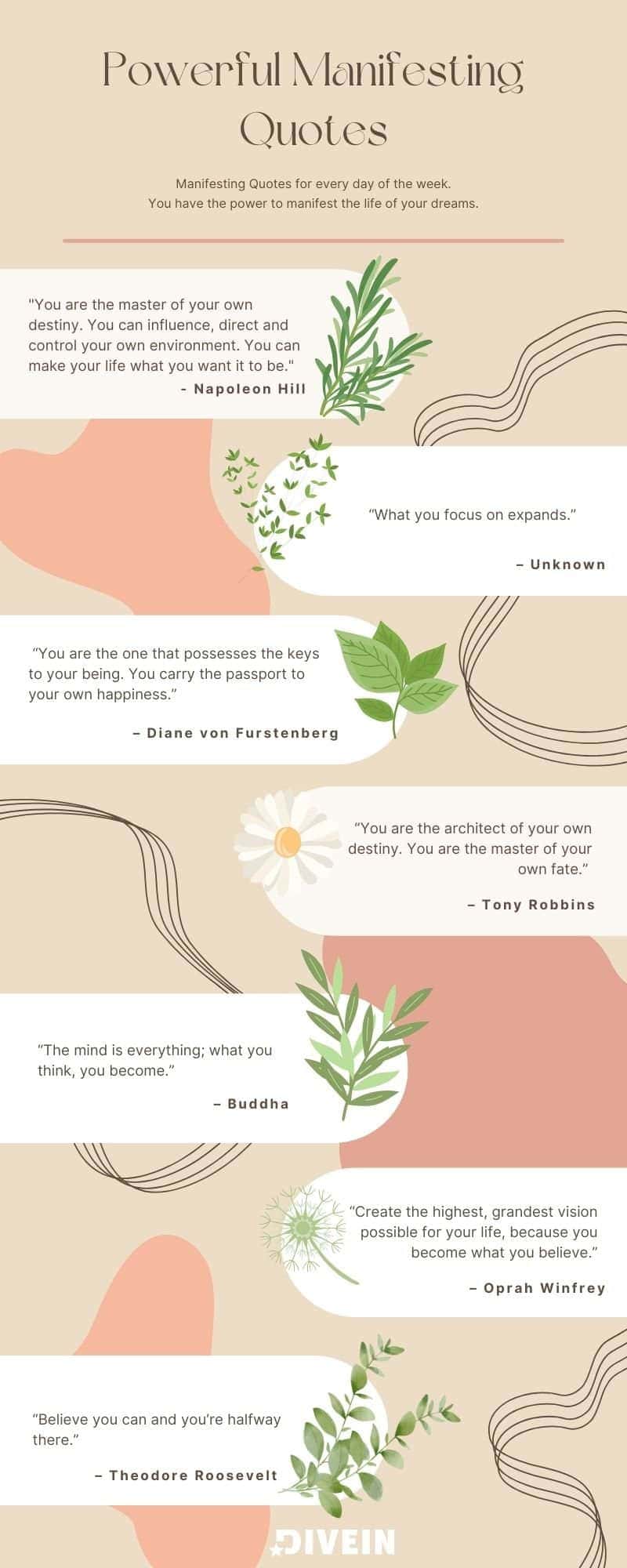 Manifesting Quotes Infographic for daily manifestation