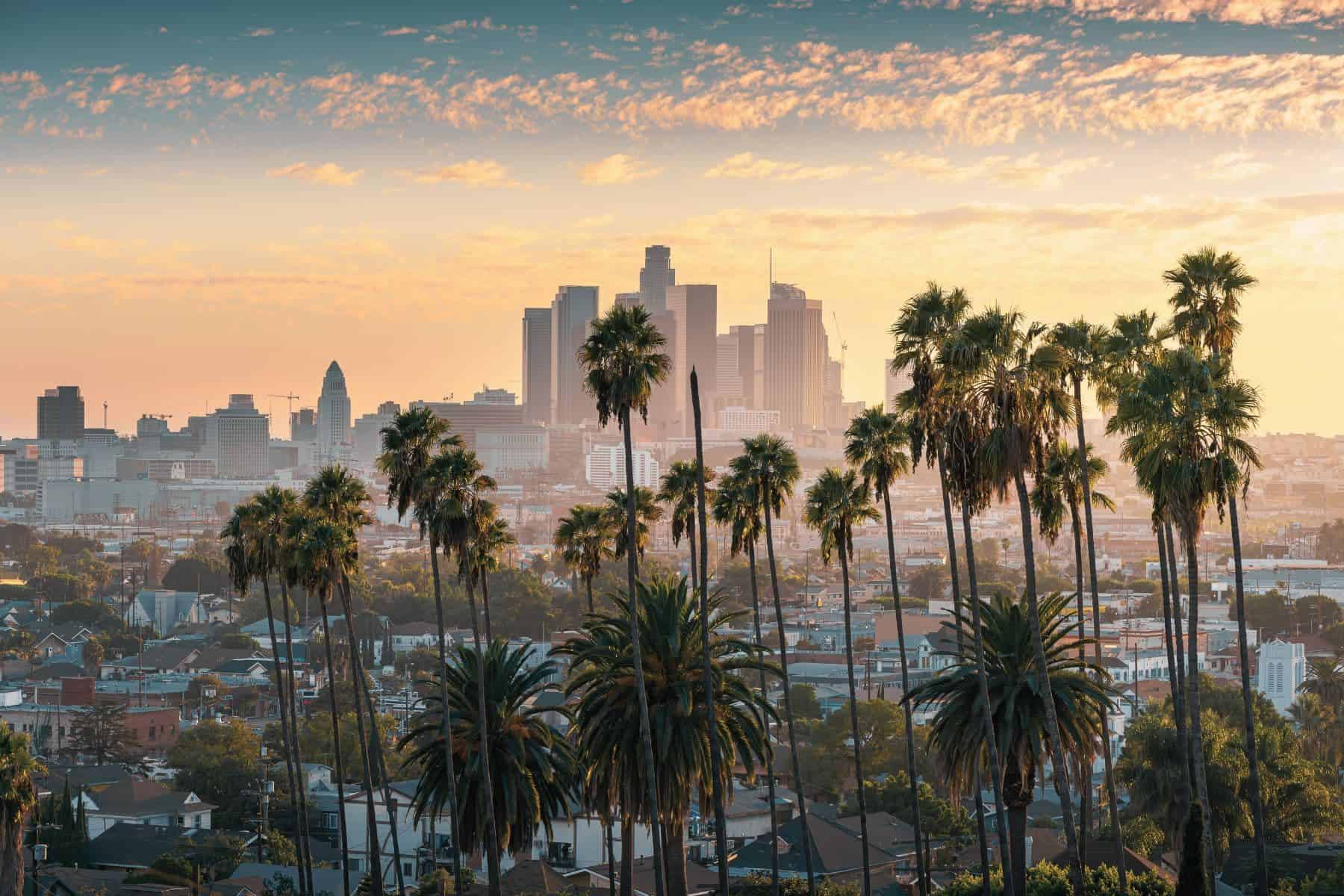 Birthday Trips City Trip In Los Angeles