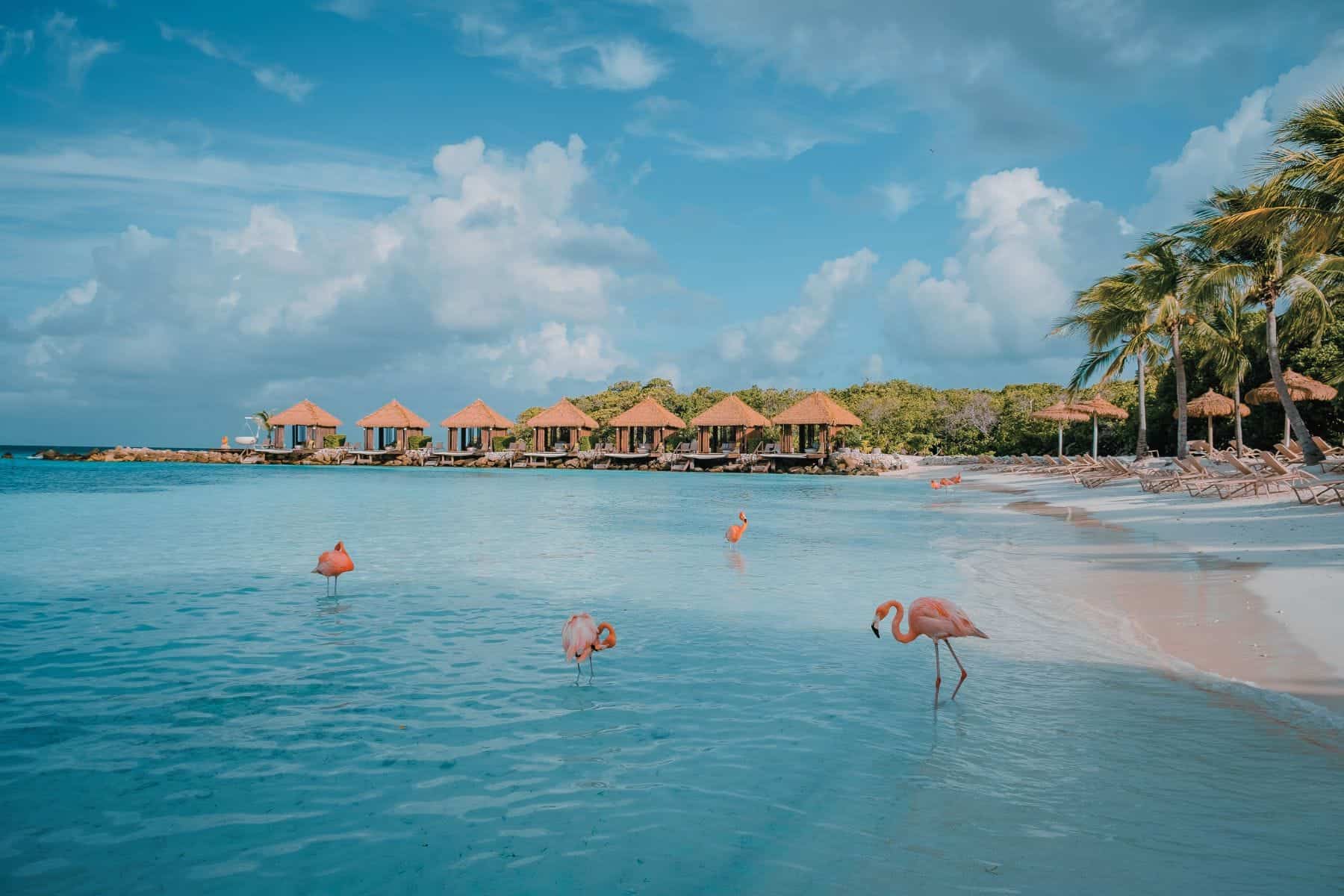 Birthday Trips Excursions