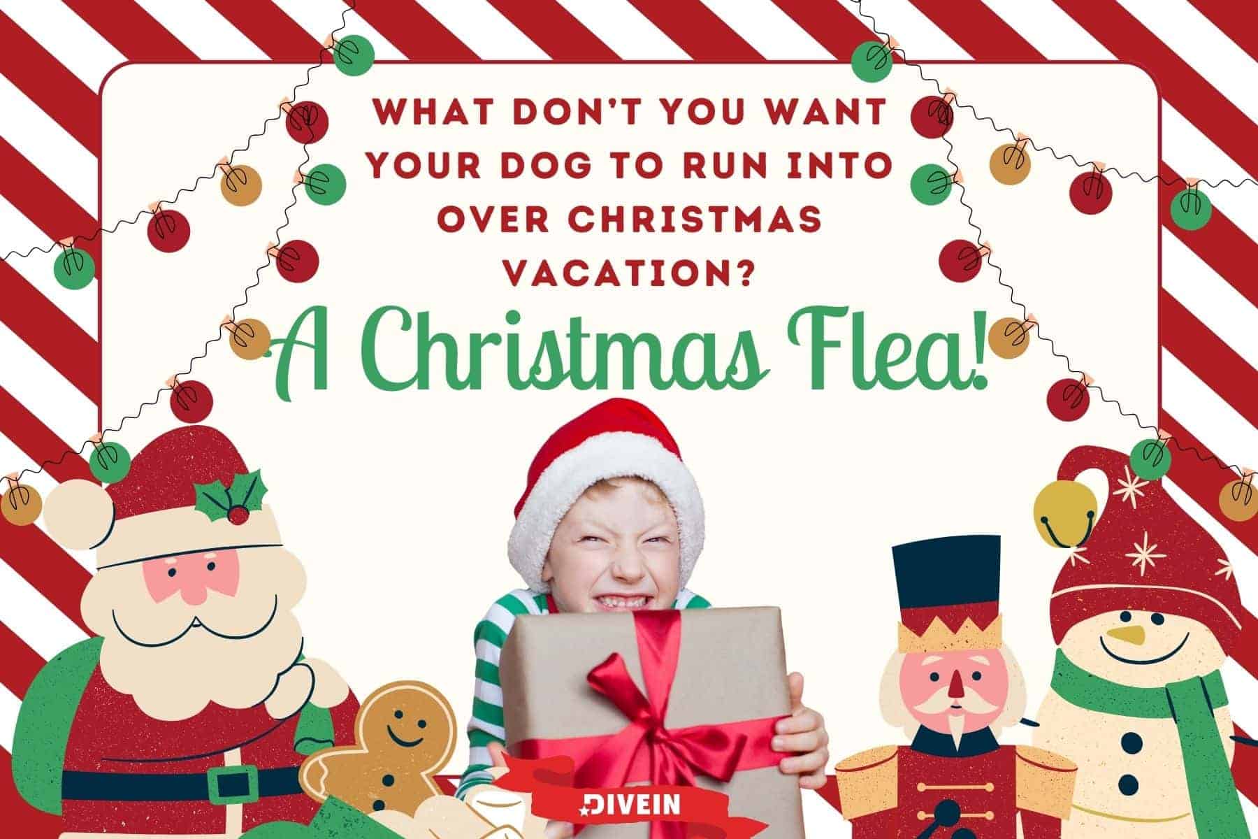Christmas Jokes For Kids Vacation