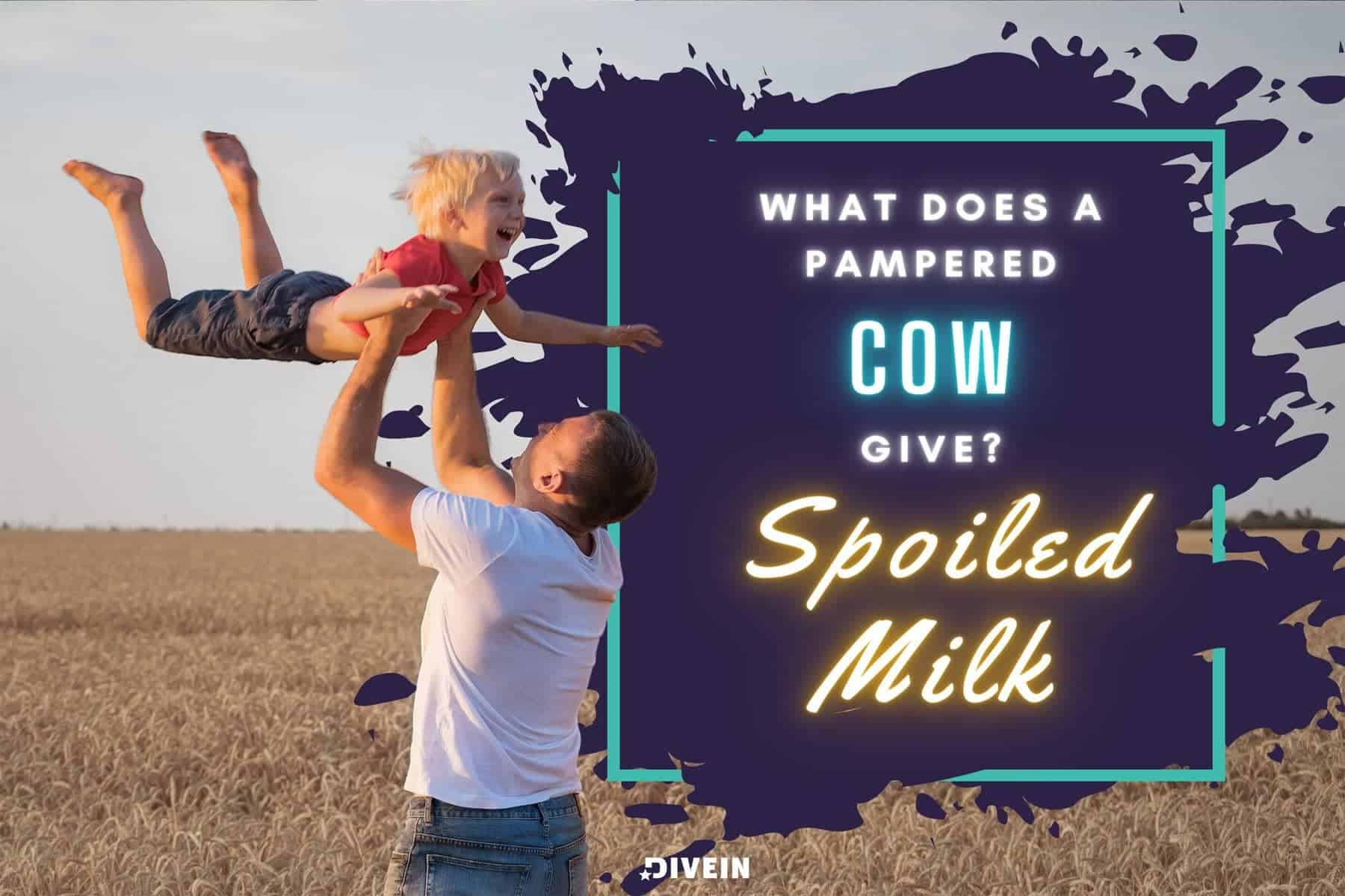 what does a pampered cow give_ spoiled milk