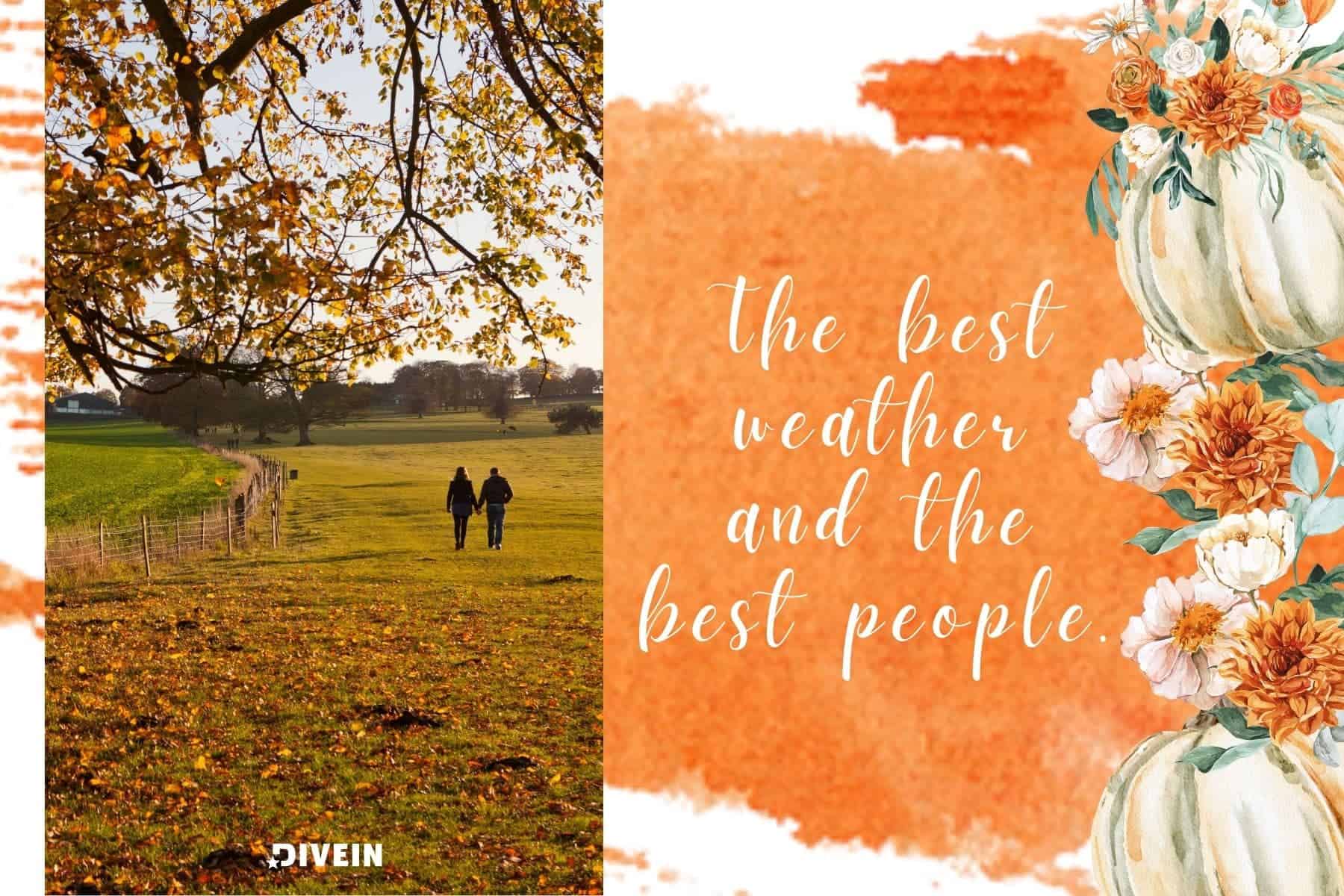 Fall Instagram Captions