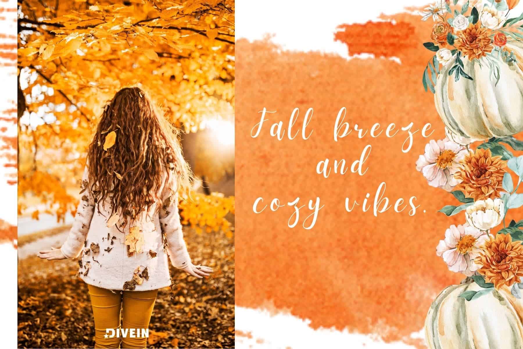 simple fall captions. fall breeze and cozy vibes