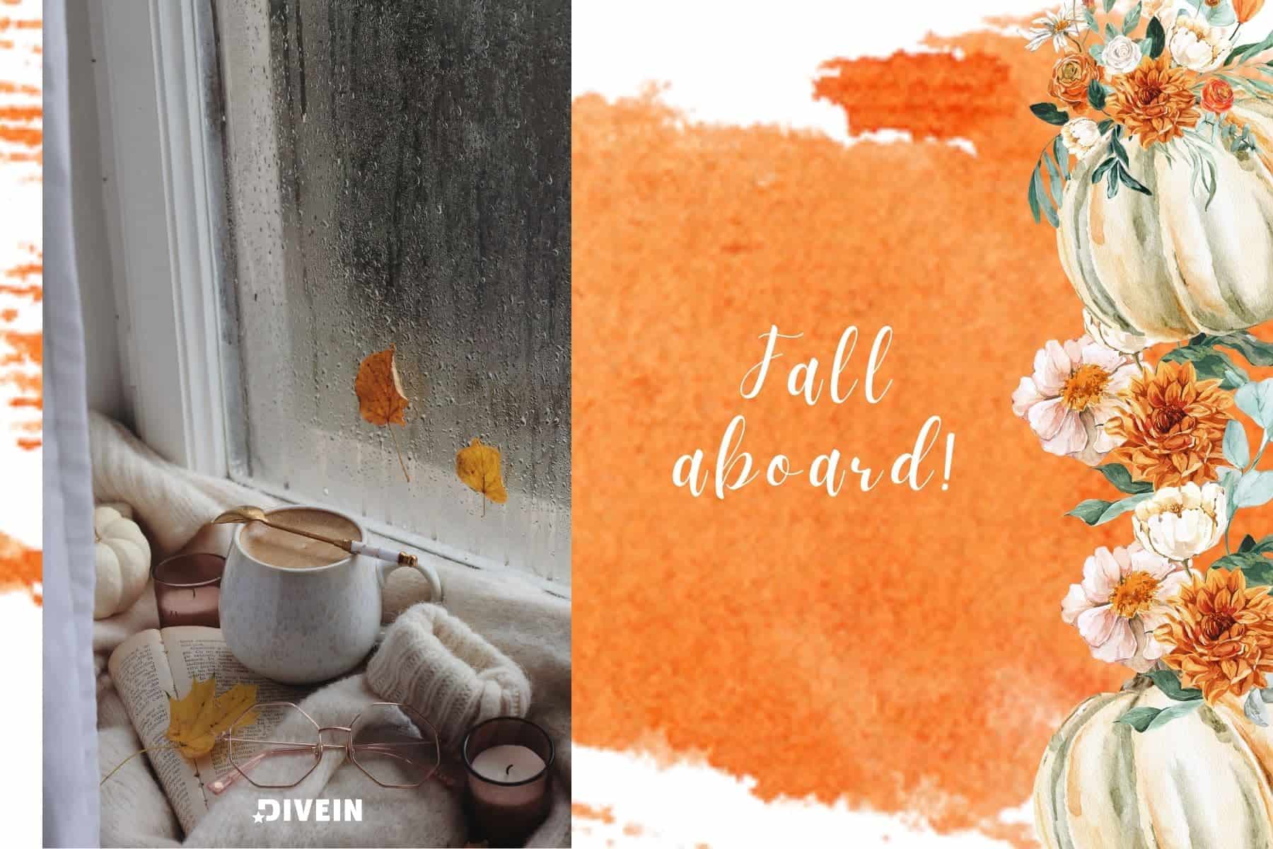 captions for fall vibes. fall aboard