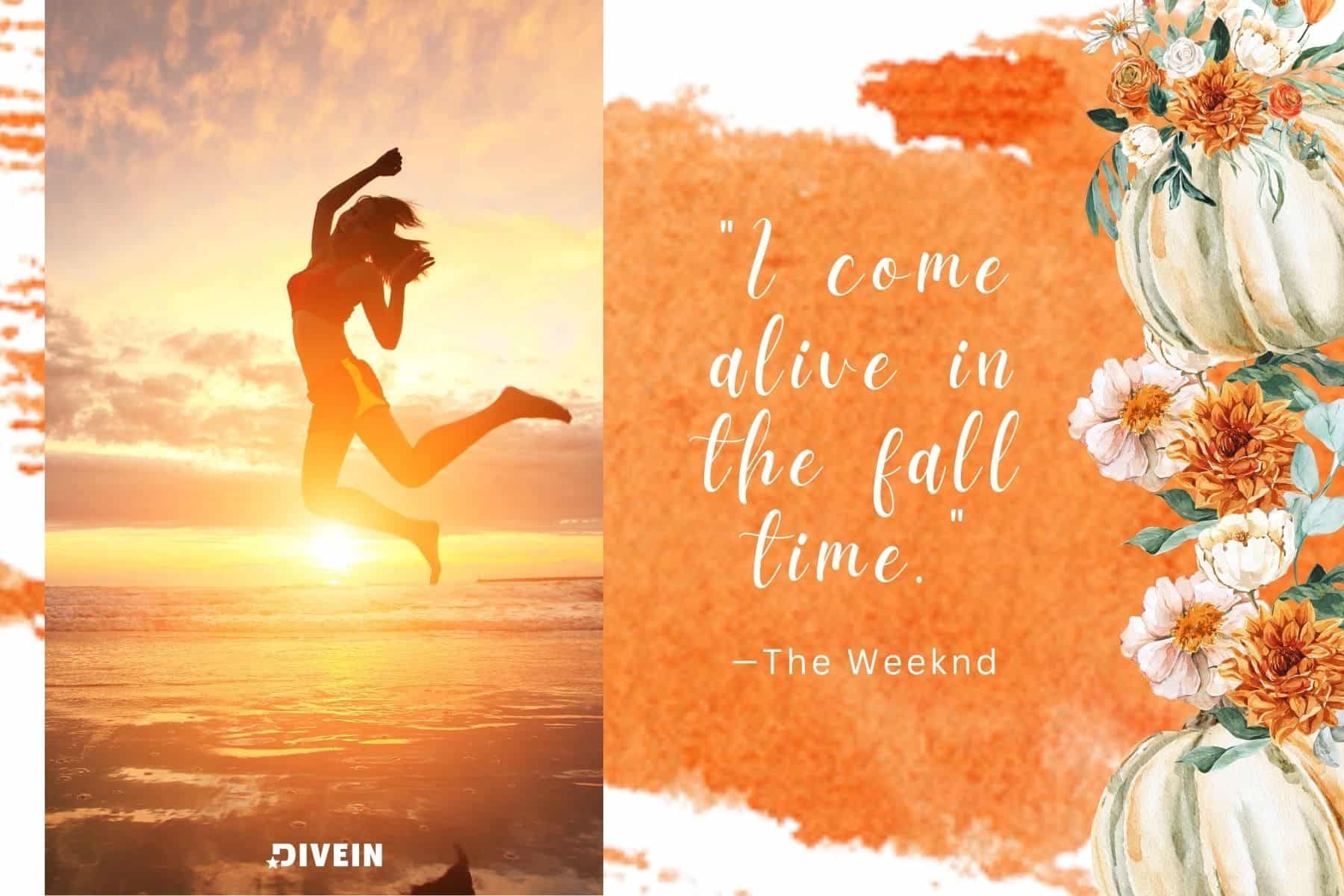 fall captions from songs. i come alive in the fall time