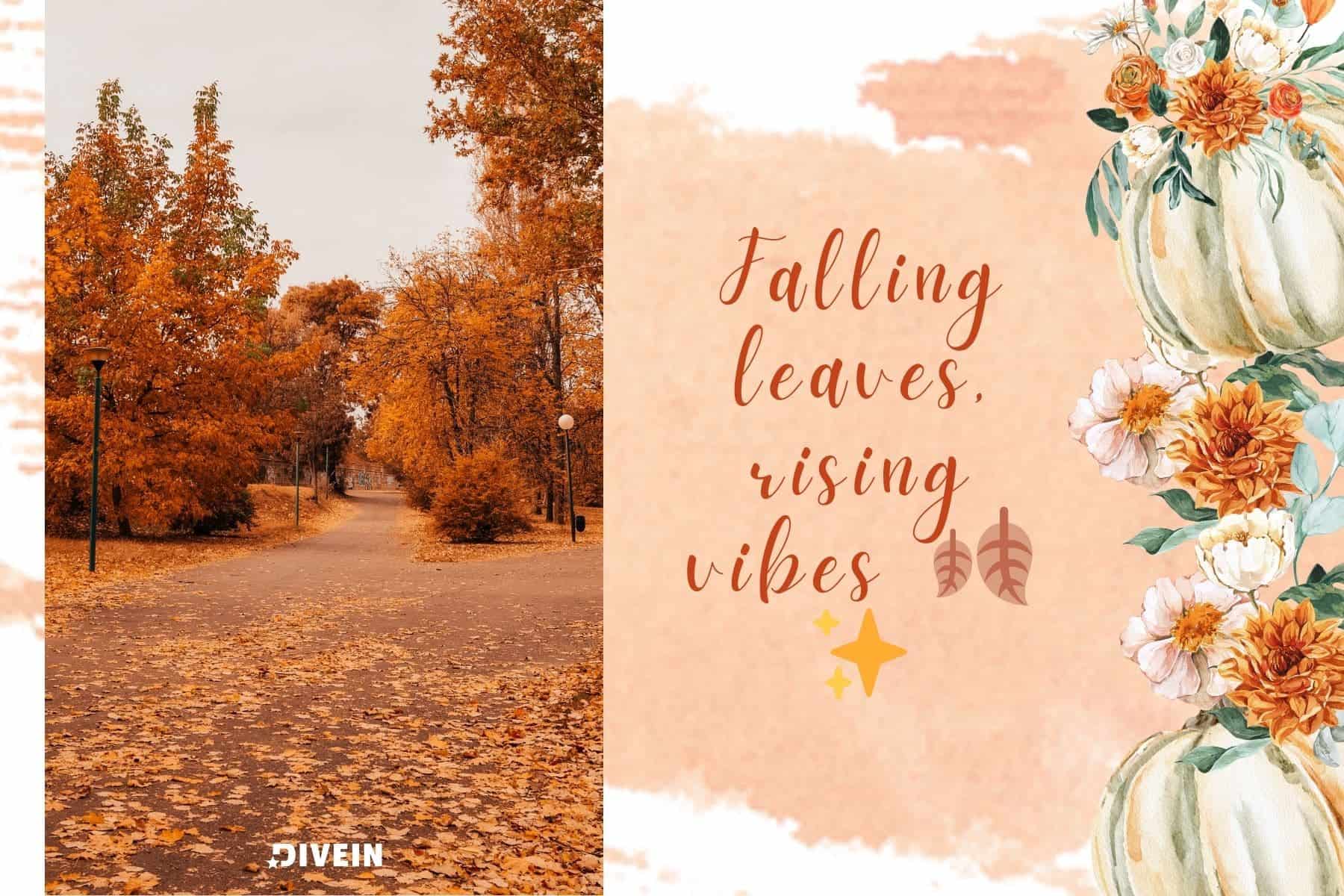 fall instagram captions with emojis. falling leaves rising vibes