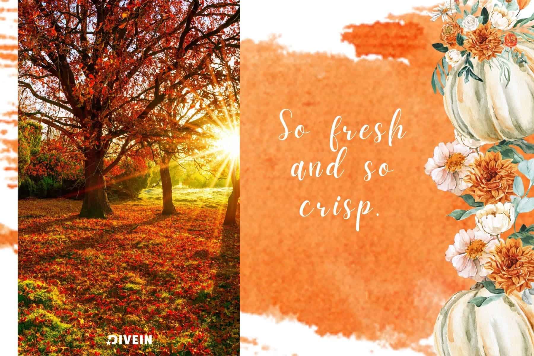 cute fall captions. so fresh and so crisp