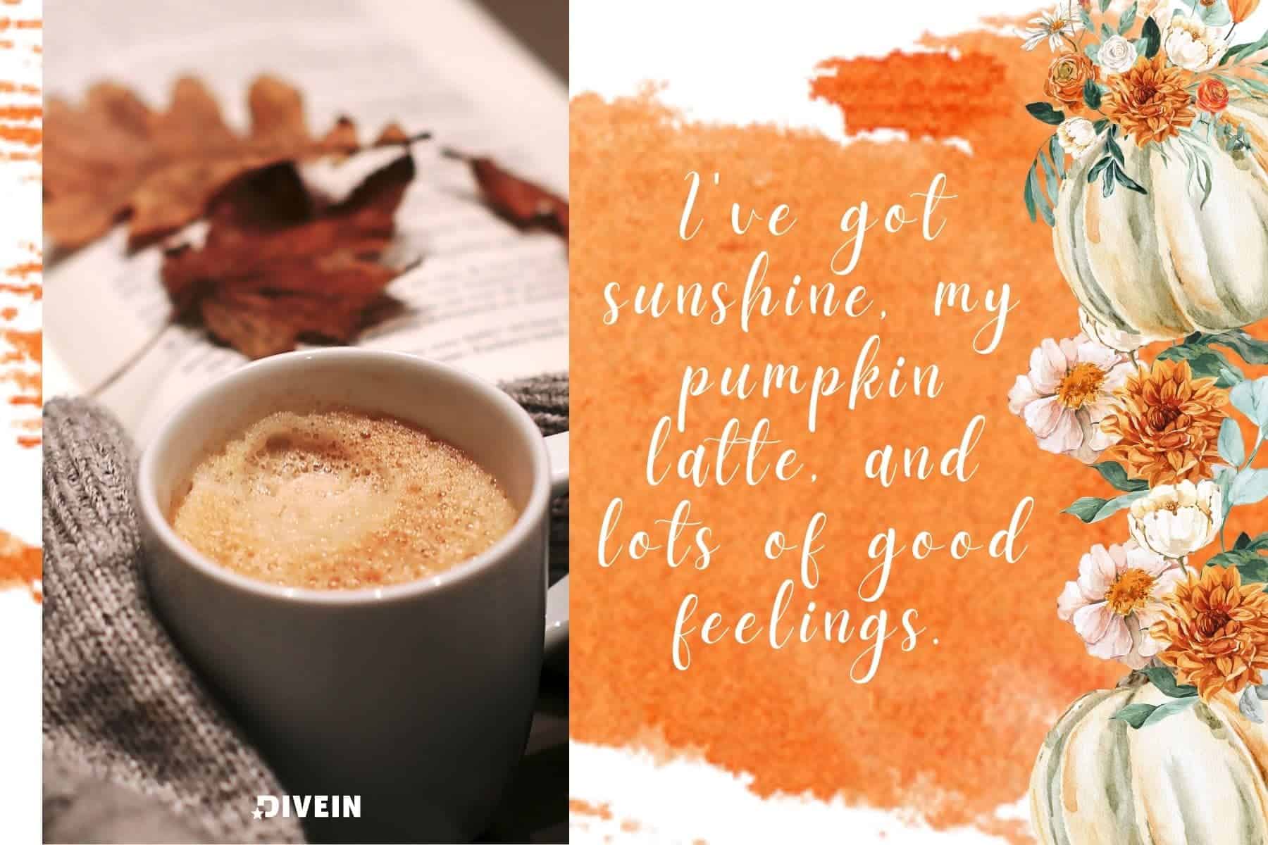 selfie fall captions. ive got sunshine my pumpkin latte and lots of good feelings