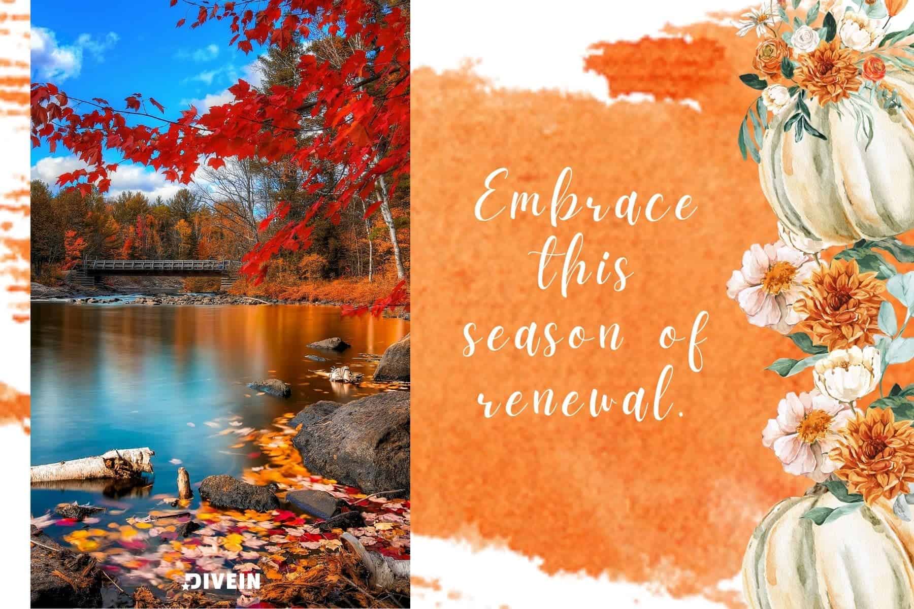 cute fall captions. embrace this season of renewal