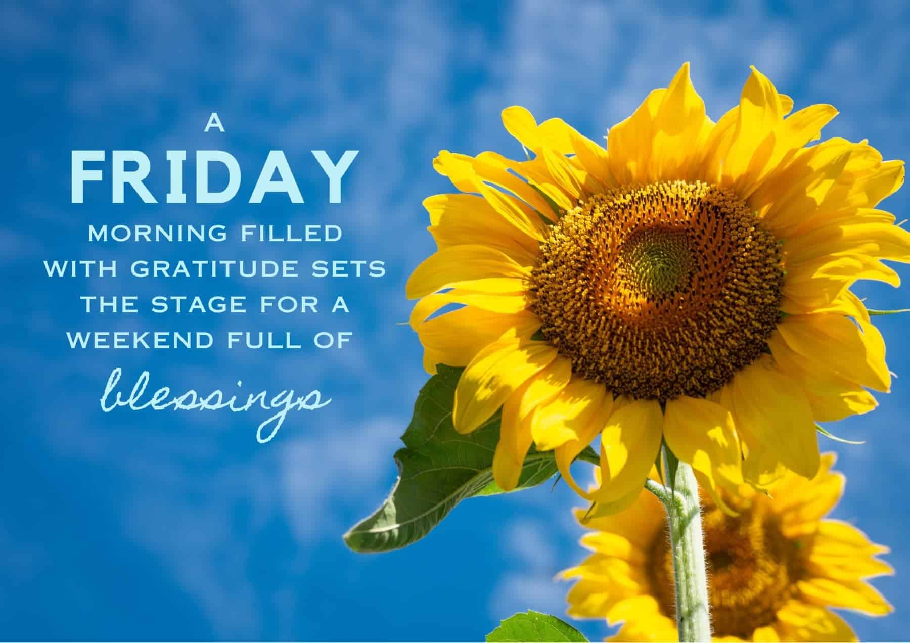 330 Happy Friday Quotes with Images - Outoria, image size:1800x1272