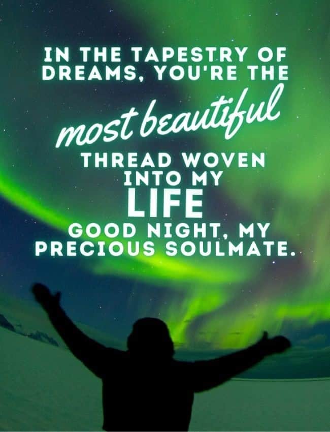 Good Night Quotes In The Tapestry Of Dreams Youre The Most Beautiful Thread Woven Into My Life Good Night My Precious Soulmate