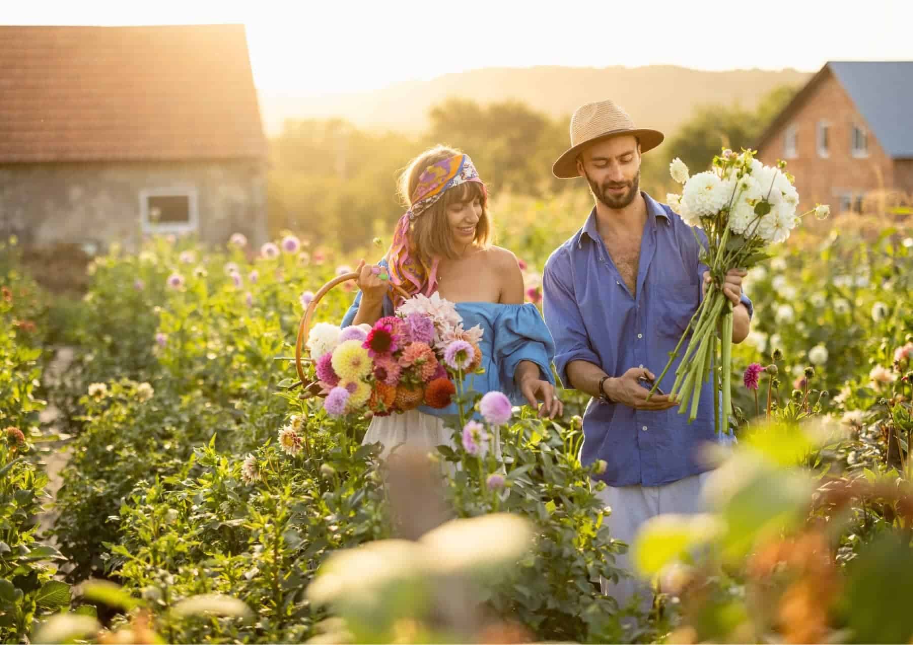 How To Tell Him I Like Him Compliment Him