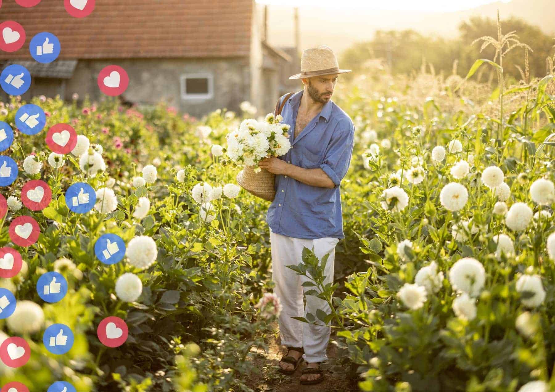 How To Tell Him I Like Him Follow His Socials And Like His Stuff