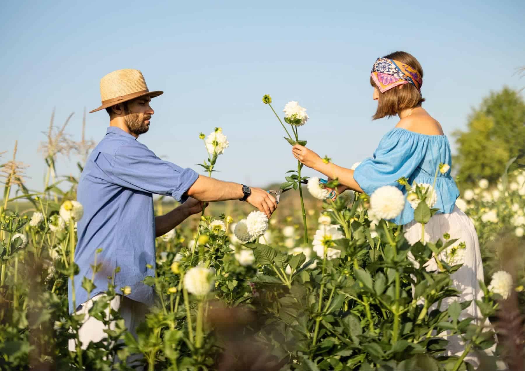 How To Tell Him I Like Him Spend Time Getting To Know Him