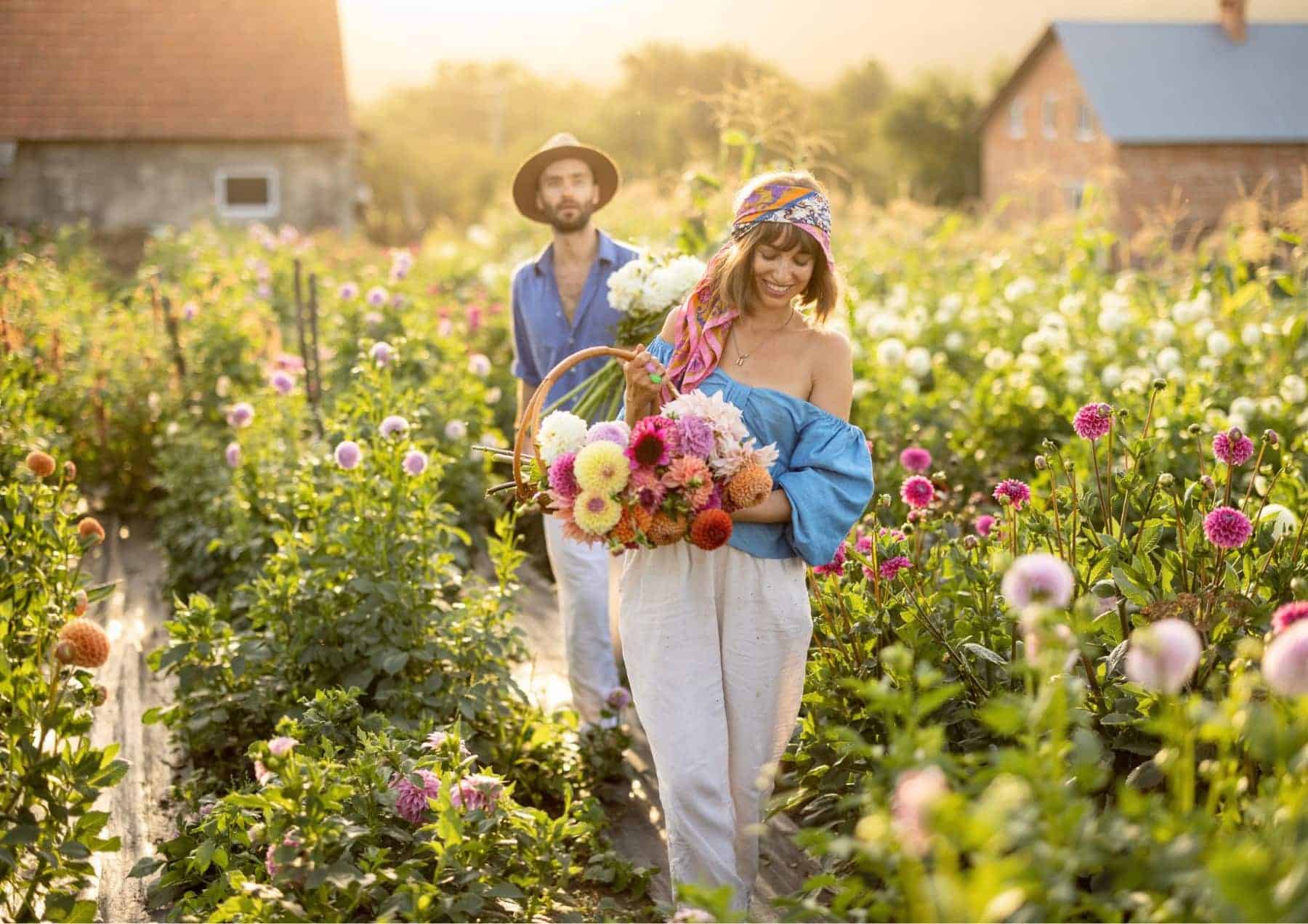 How to Tell Him I Like Him Tell Him