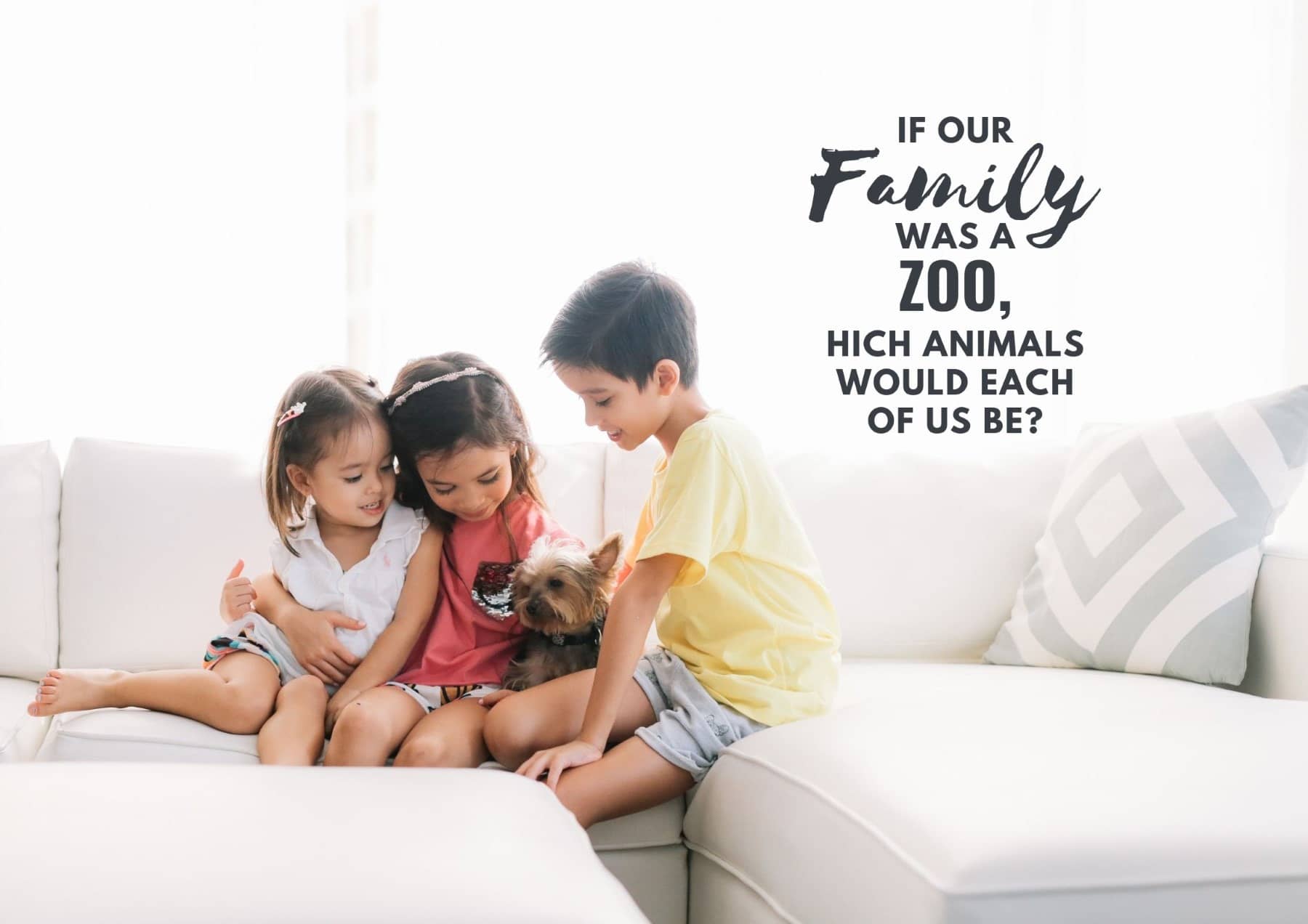 Icebreaker Questions If Our Family Was A Zoo Which Animals Would Each Of Us Be