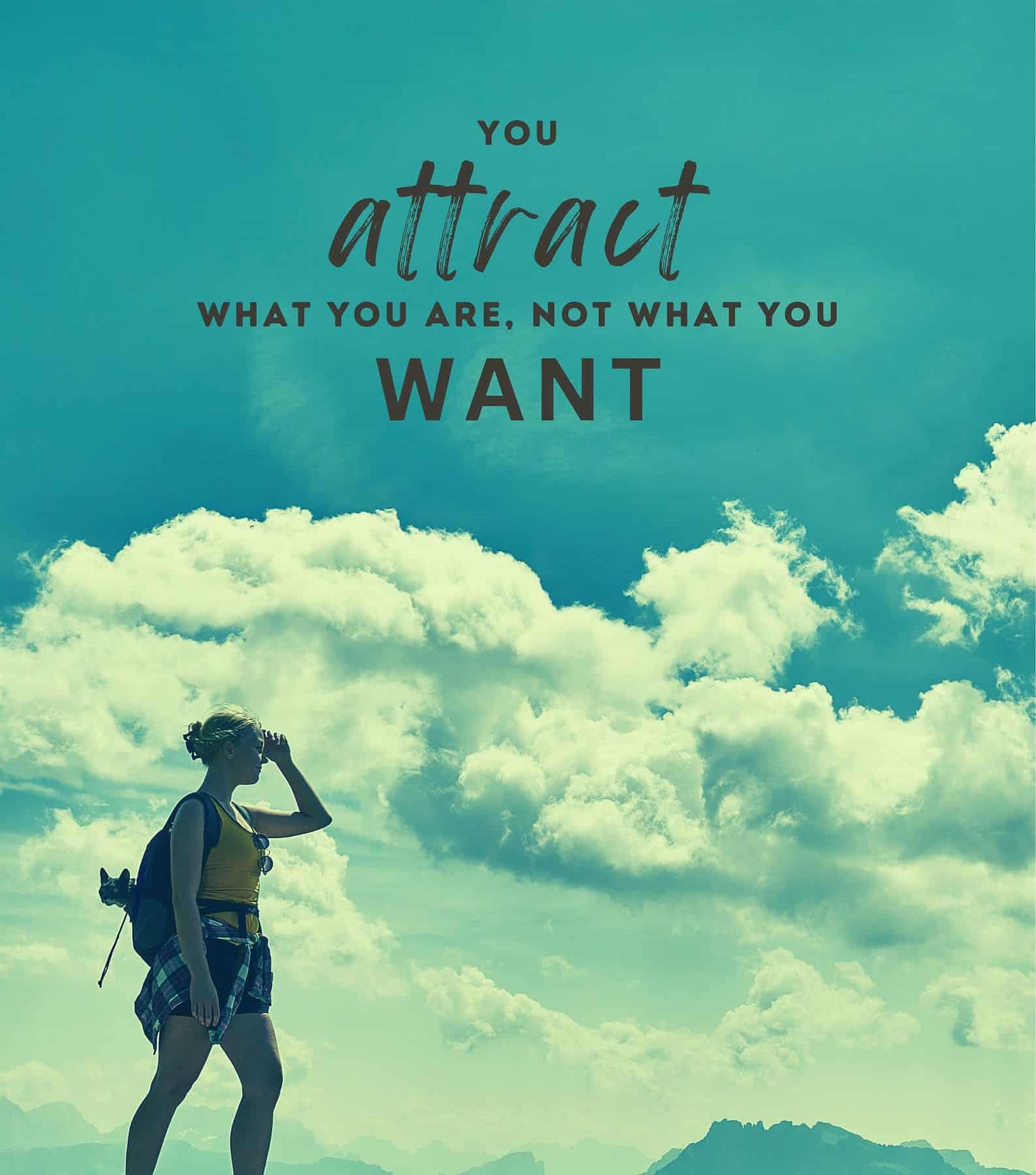 You attract what you are, not what you want.