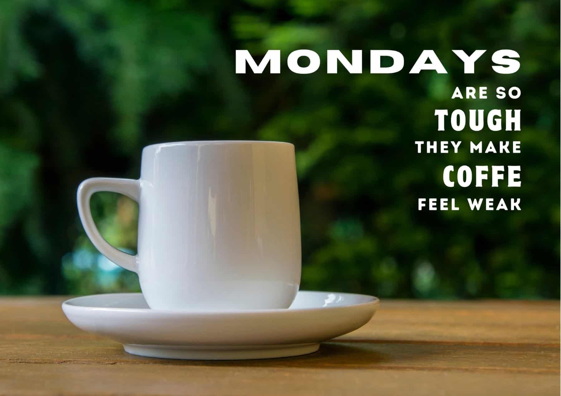 Page 2 - Free and customizable monday templates, image size:1800x1272