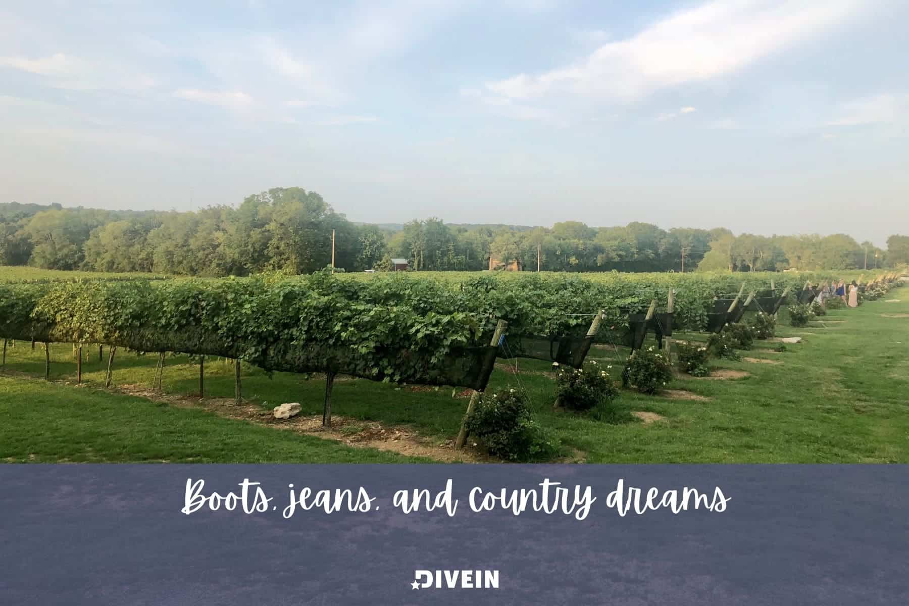 nashville farm captions. boots jeans and country dreams