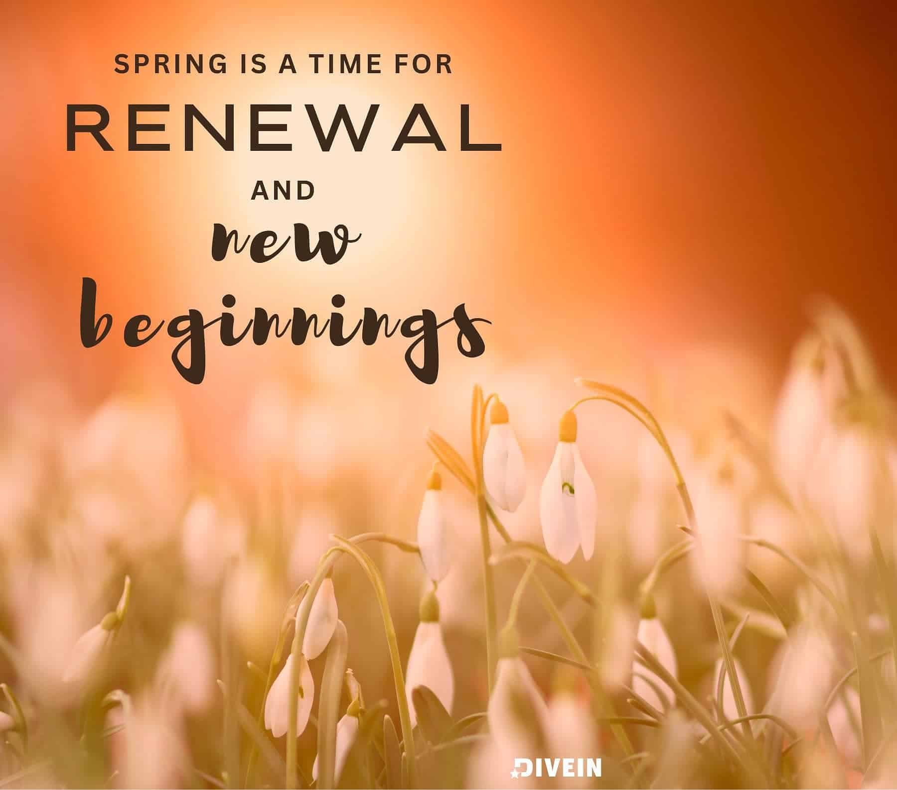 Spring New Beginnings Quotes. Spring is a time for renewal and new beginnings.