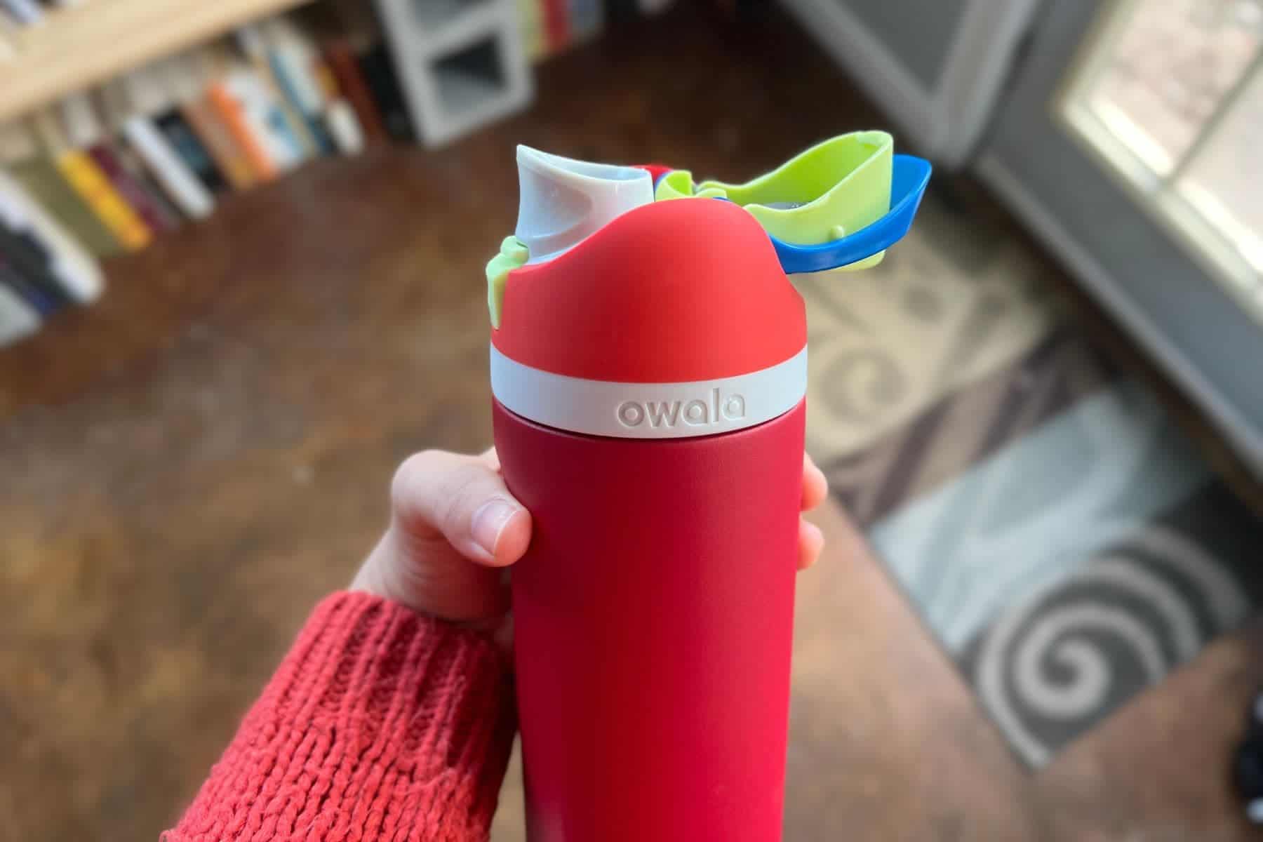 Owala Freesip Water Bottle Neon Colorways