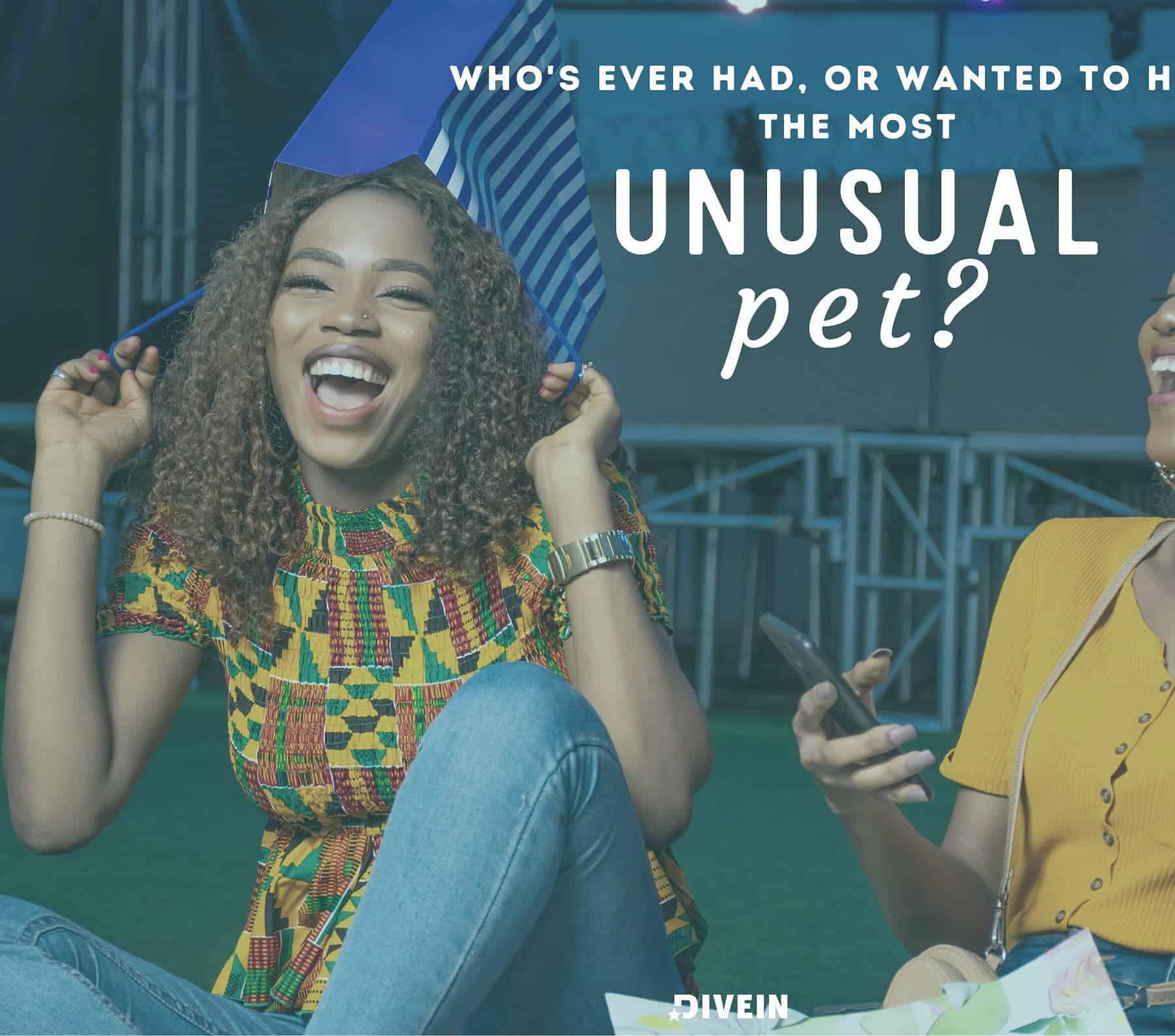 paranoia-questions-when-drinking-with-friend-pet