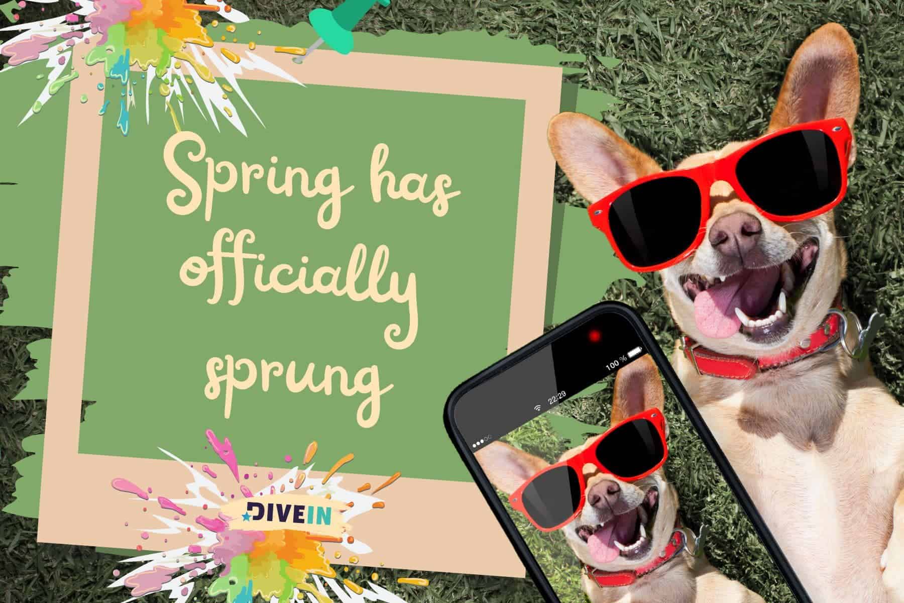 spring photo dump captions. spring has officially sprung