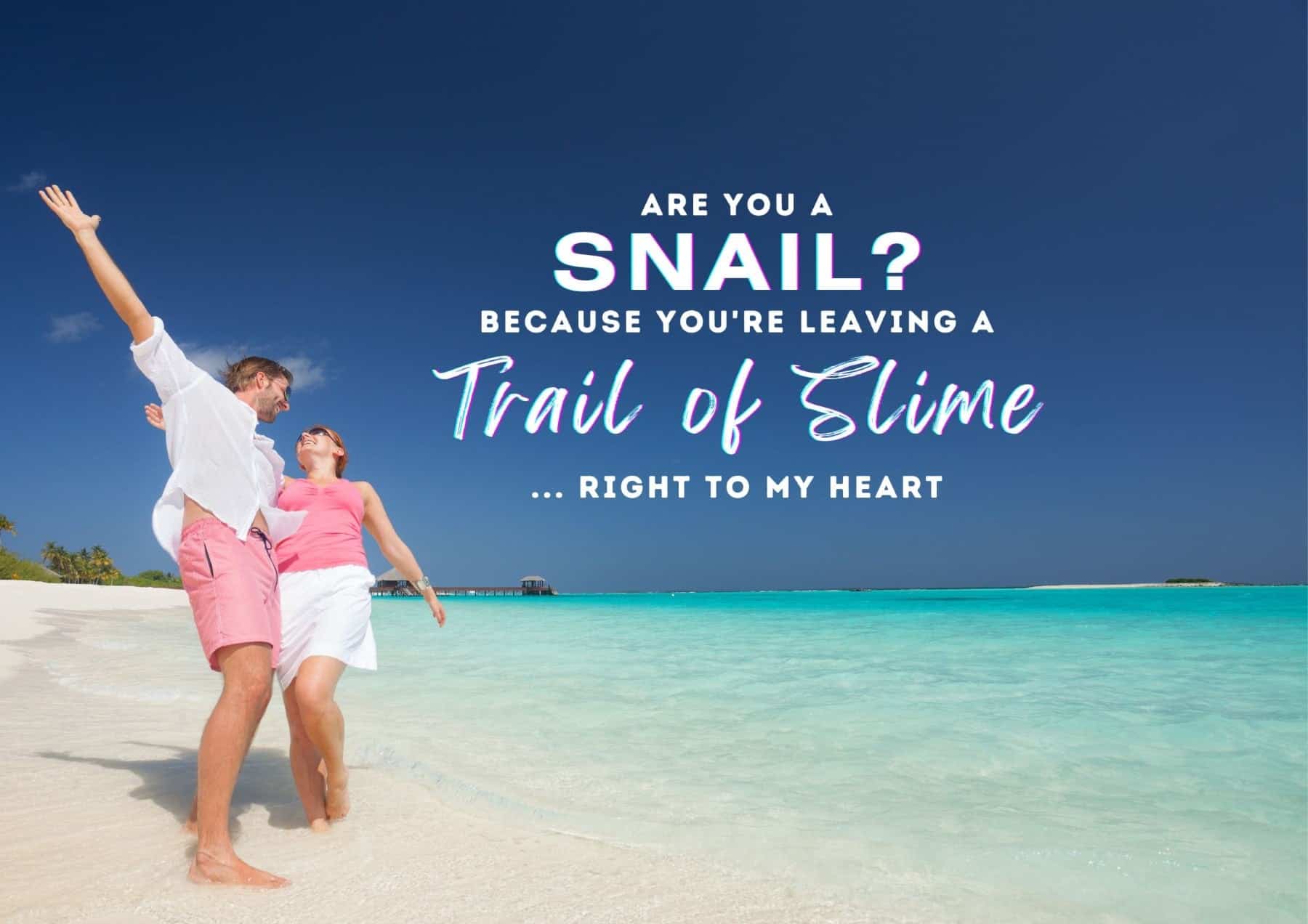 Pick Up Lines Are You A Snail Because Youre Leaving A Trail Of Slime Right To My Heart