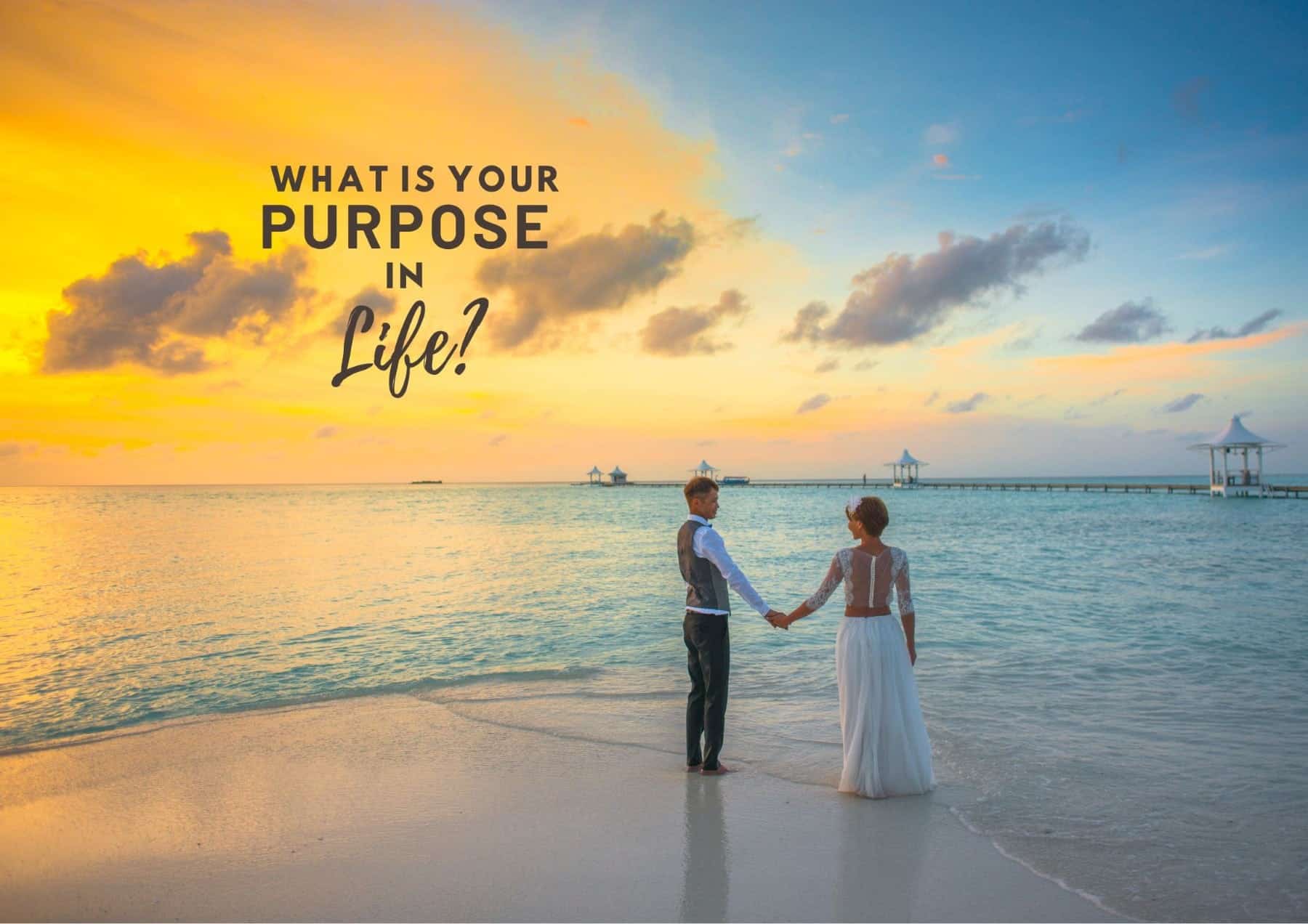 Questions To Ask A Guy What Is Your Purpose In Life