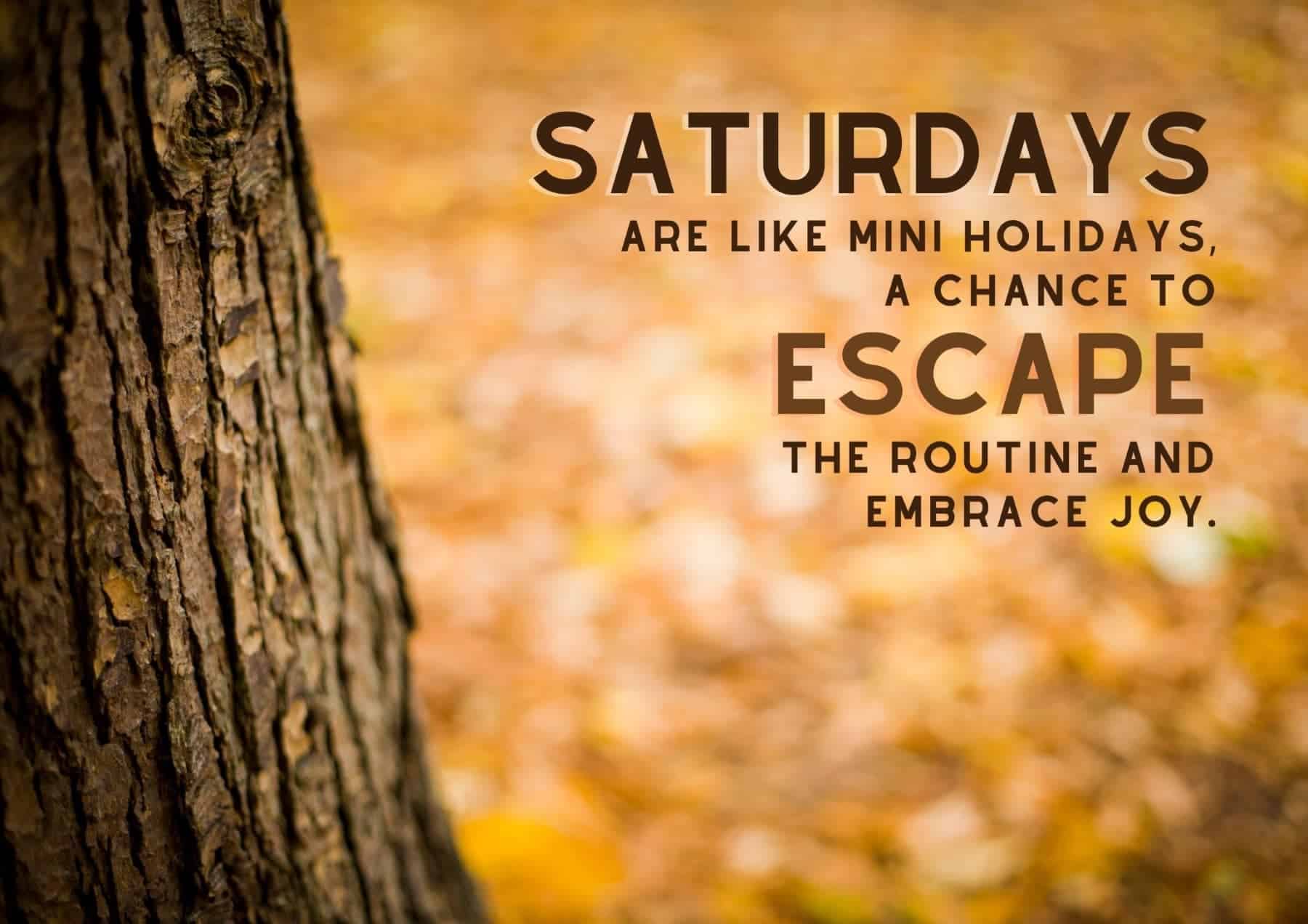 Saturday Quotes Saturdays Are Like Mini Holidays A Chance To Escape The Routine And Embrace Joy