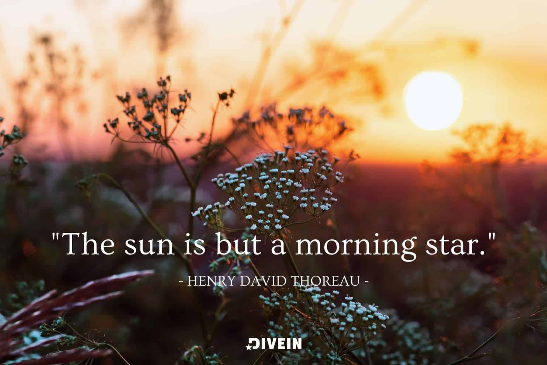 51+ Beautiful Sunrise Quotes for a Good Morning - Outoria, image size:1800x1200