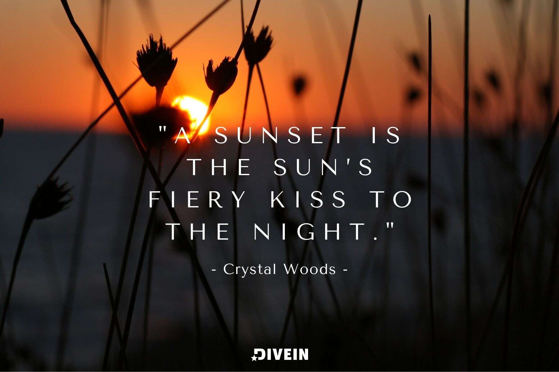 famous sunset quote by crystal woods. A sunset is the sun’s fiery kiss to the night.
