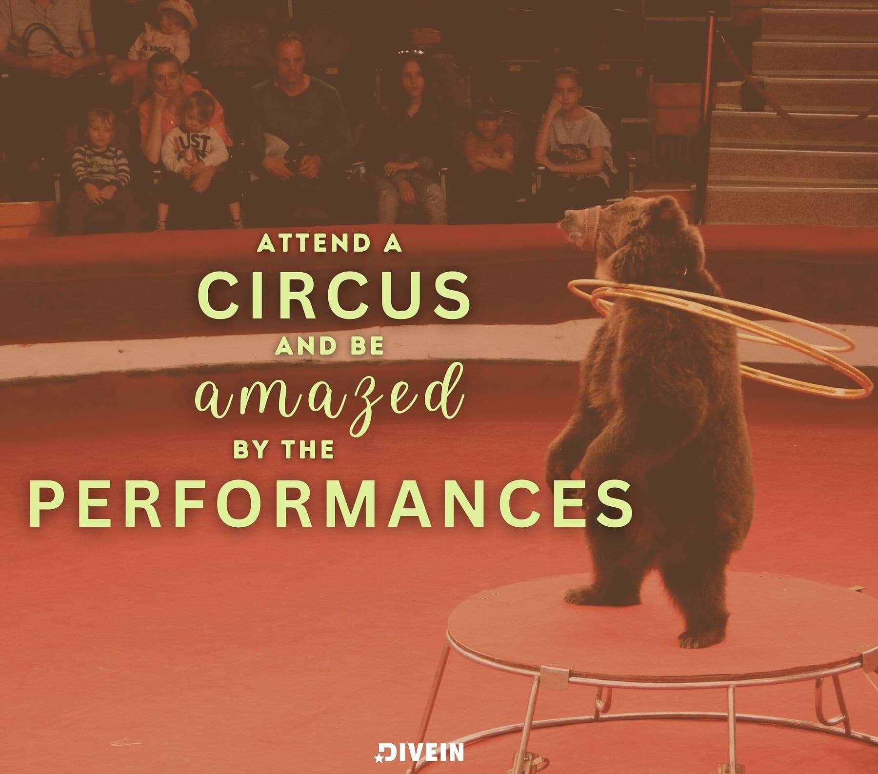 things to do with your boyfriend performances