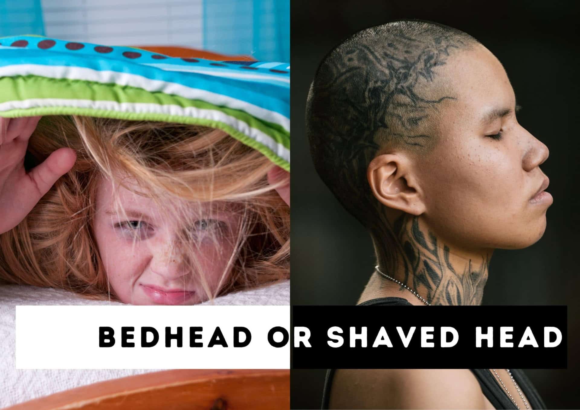 This Or That Questions Bedhead