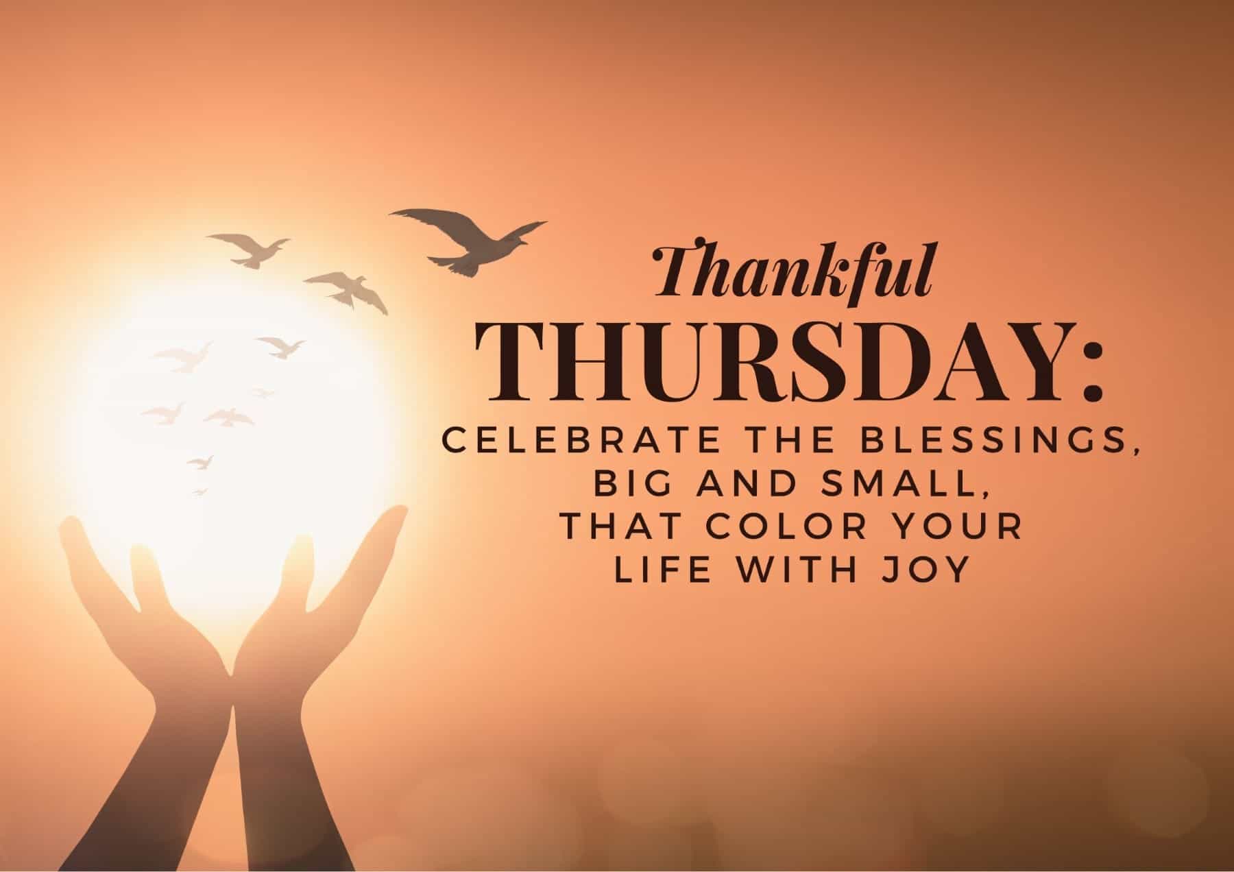Thursday Quotes Thankful Thursday Celebrate The Blessings Big And Small That Color Your Life With Joy