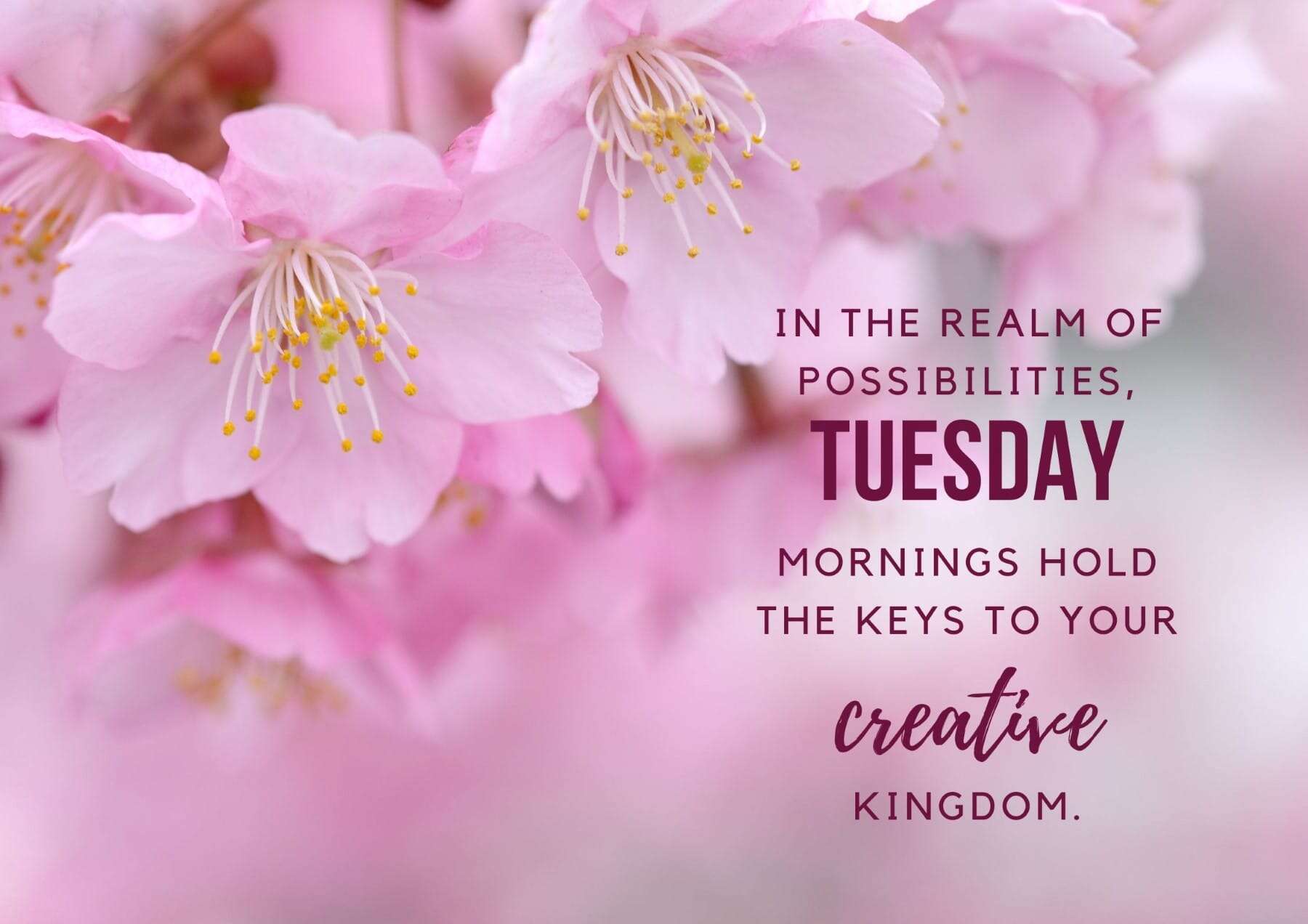Tuesday Quotes In The Realm Of Possibilities Tuesday Mornings Hold The Keys To Your Creative Kingdom