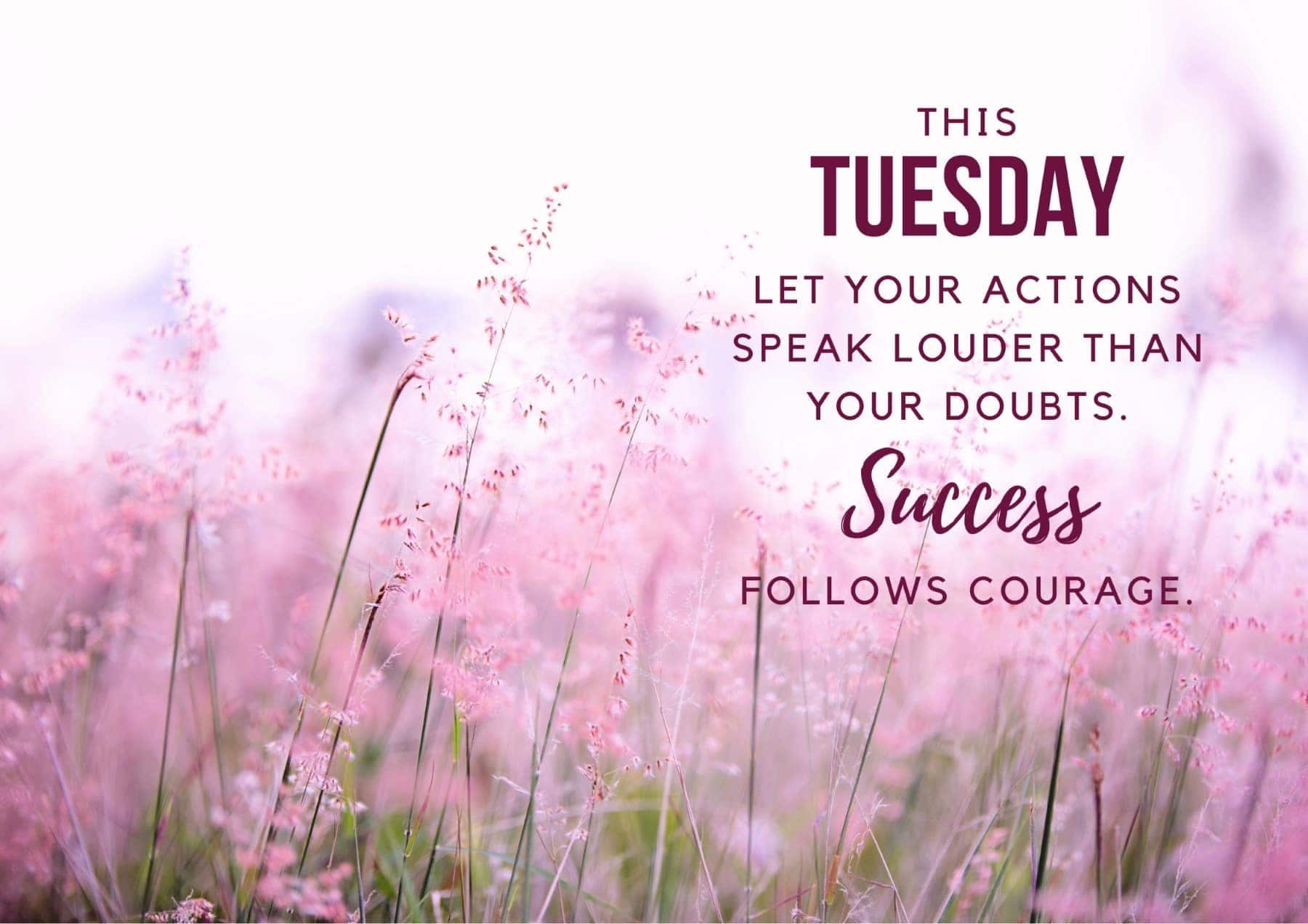 Tuesday Quotes This Tuesday Let Your Actions Speak Louder Than Your Doubts Success Follows Courage