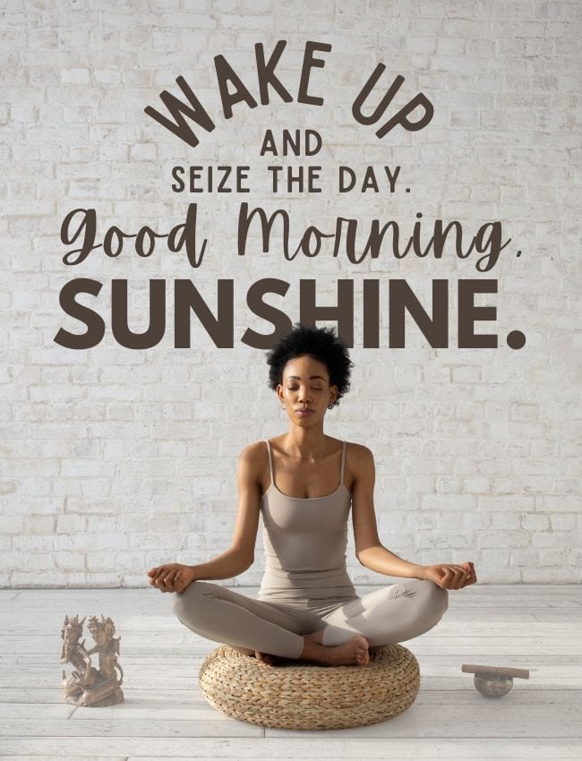 Wake Up And Seize The Day Good Morning Sunshine