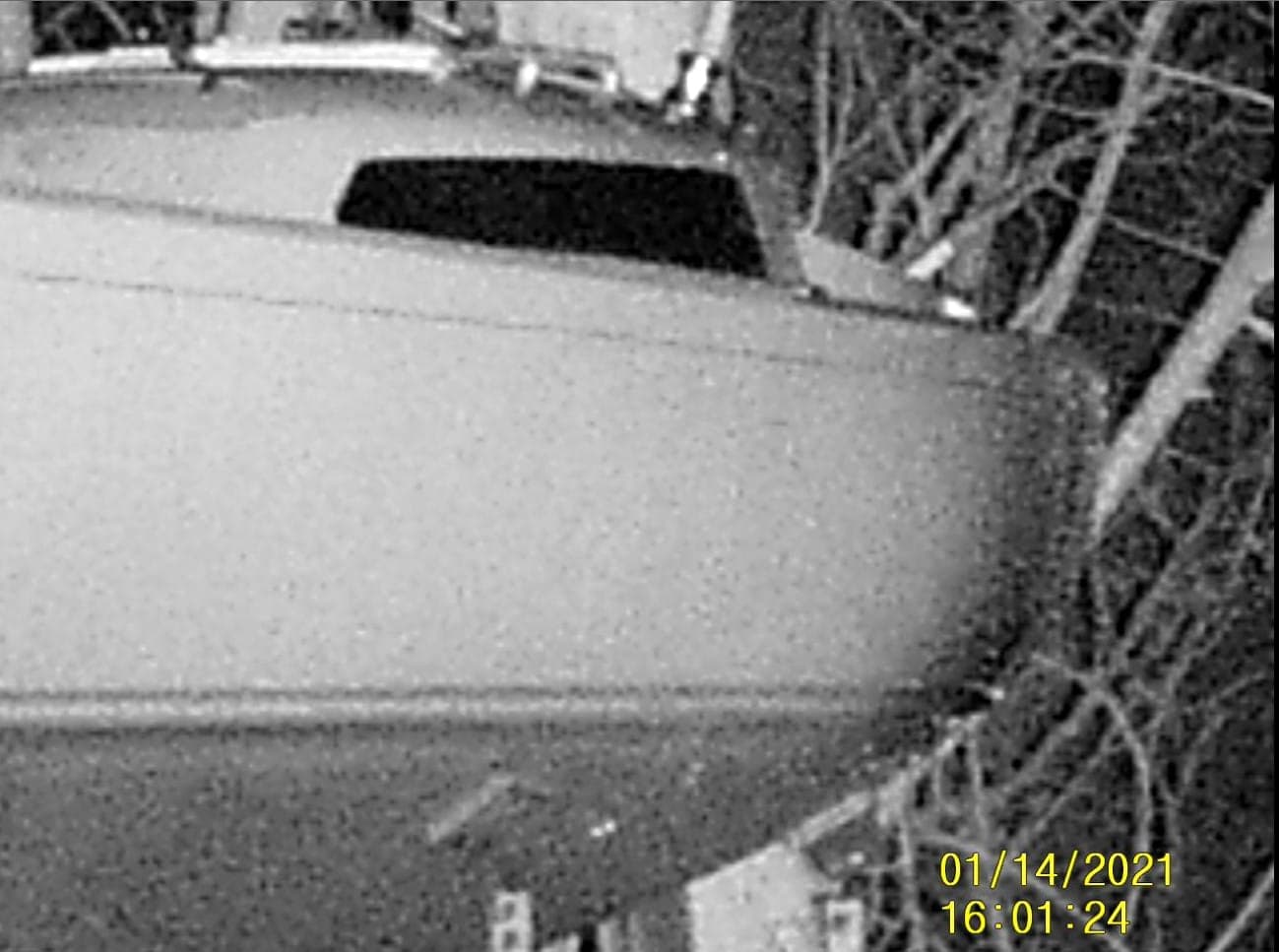 Screenshot Boat Zoom