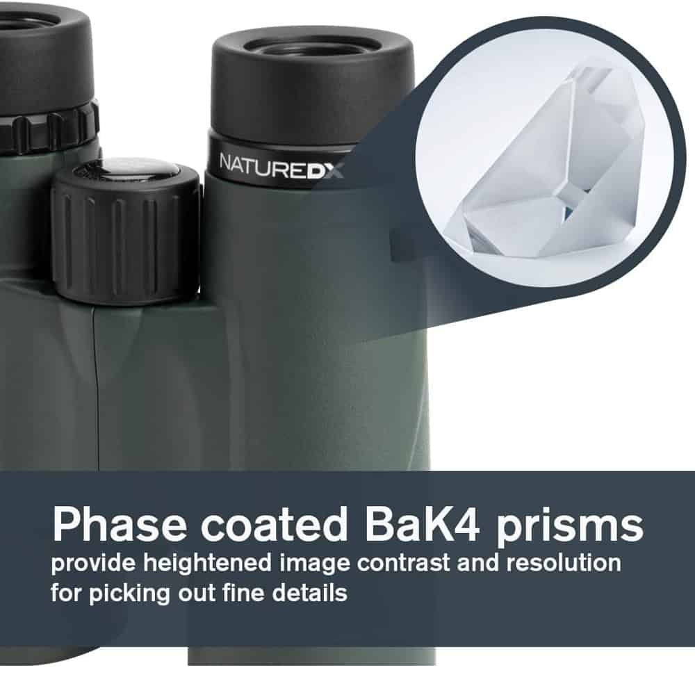 celestron-nature-dx-8x42-image-quality-1.jpg