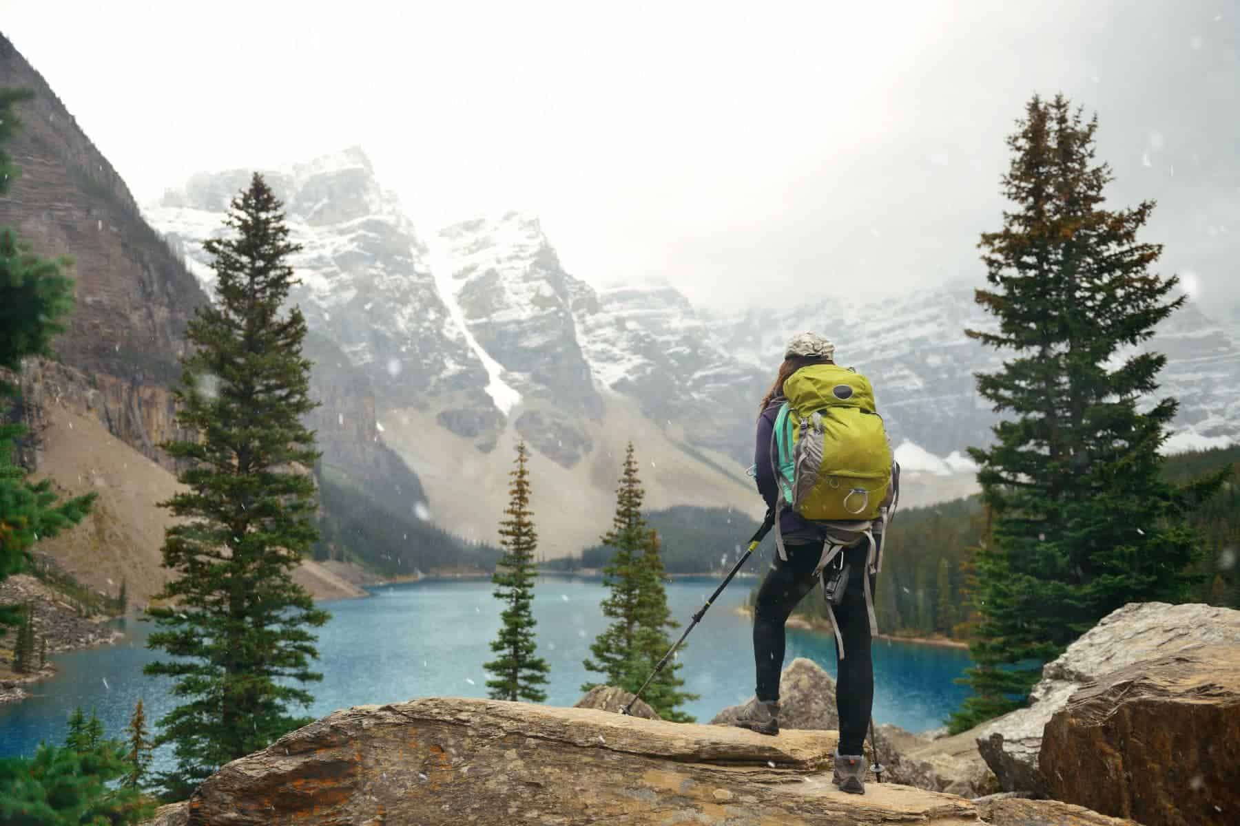 Choosing Best Hiking Shoe Hiking Trail