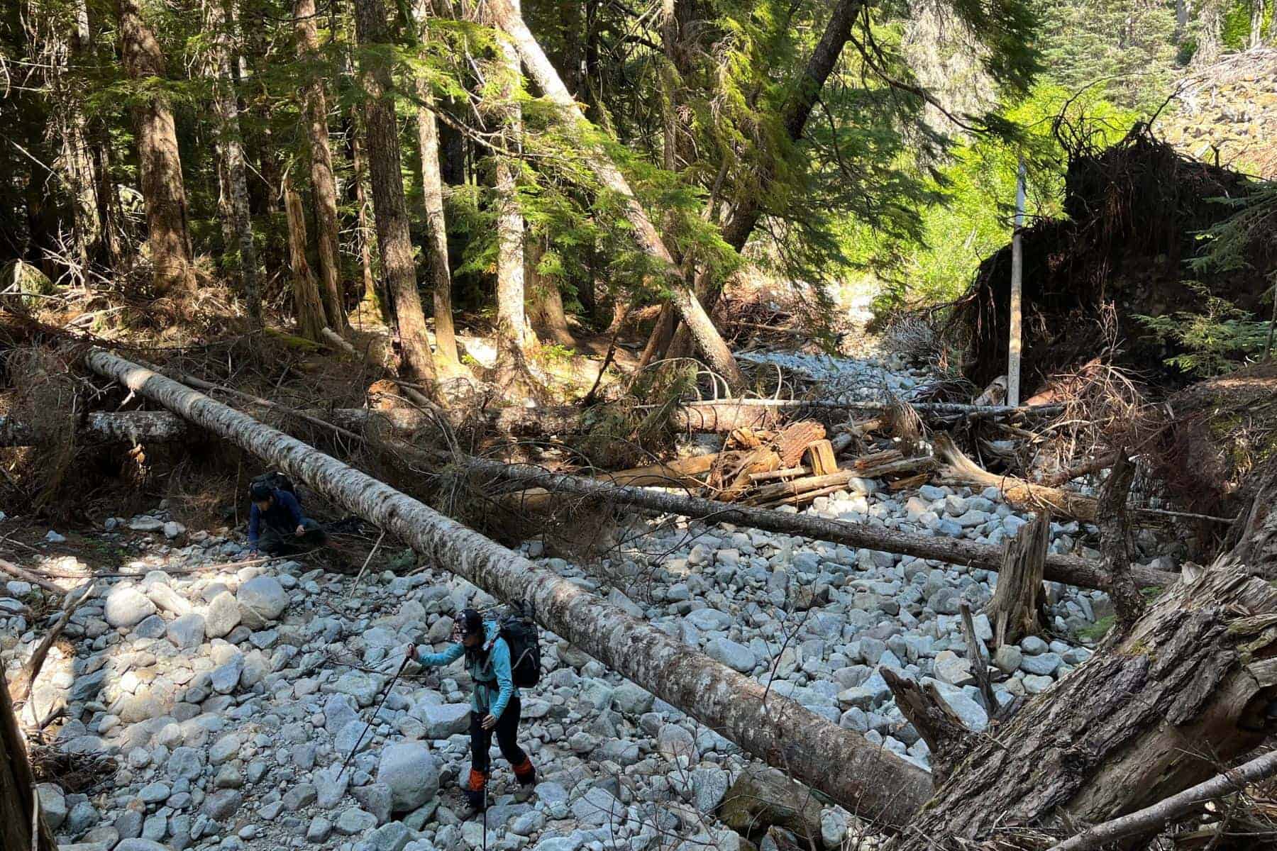 Difference Between Hiking And Trekking Shoes Challenging Terrain