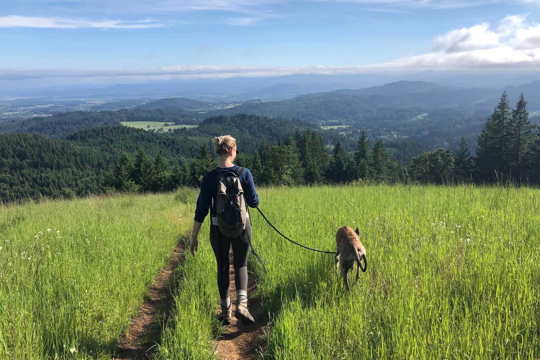 Difference Between Hiking And Trekking Shoes Gentle Terrain