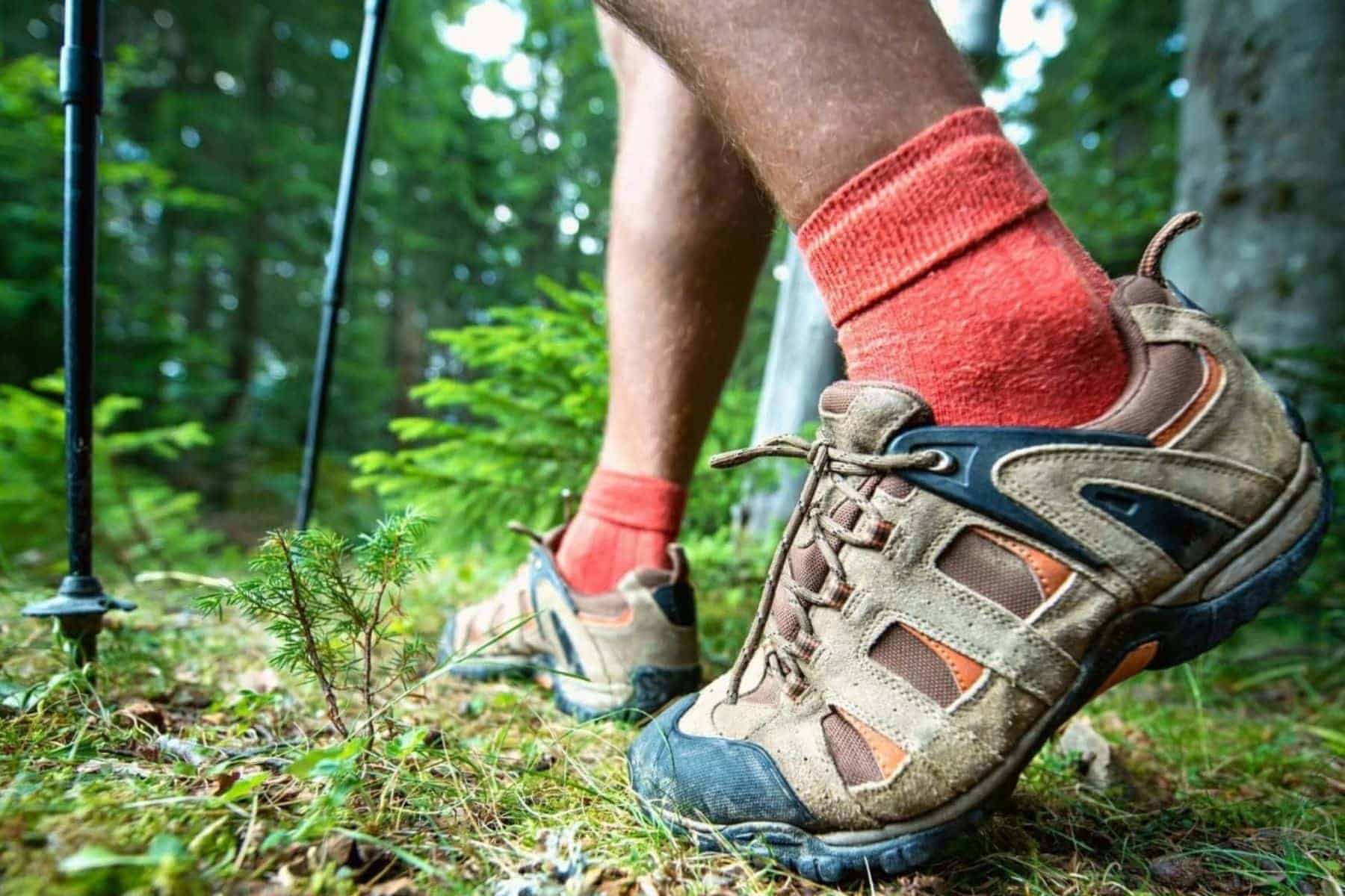 Difference Between Hiking And Trekking Shoes Hiking