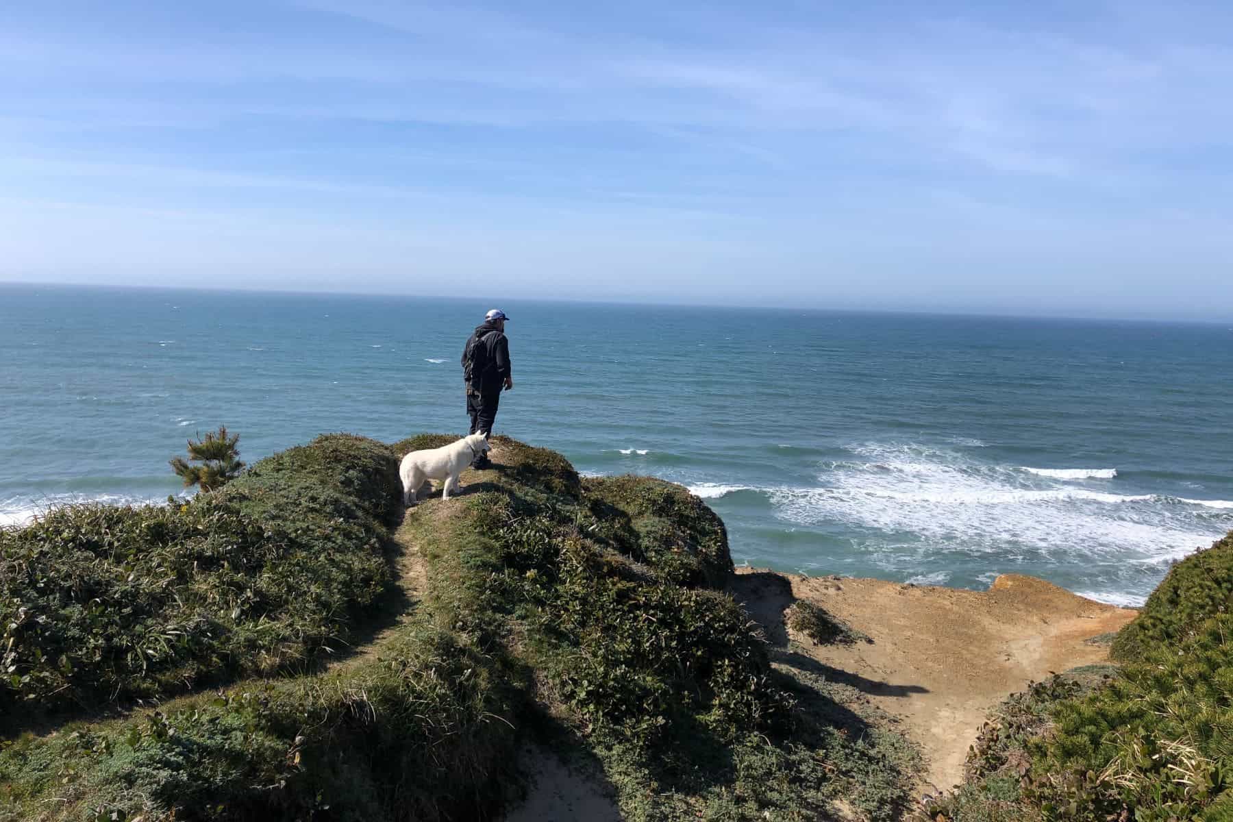 Difference Between Hiking And Trekking Shoes Summary